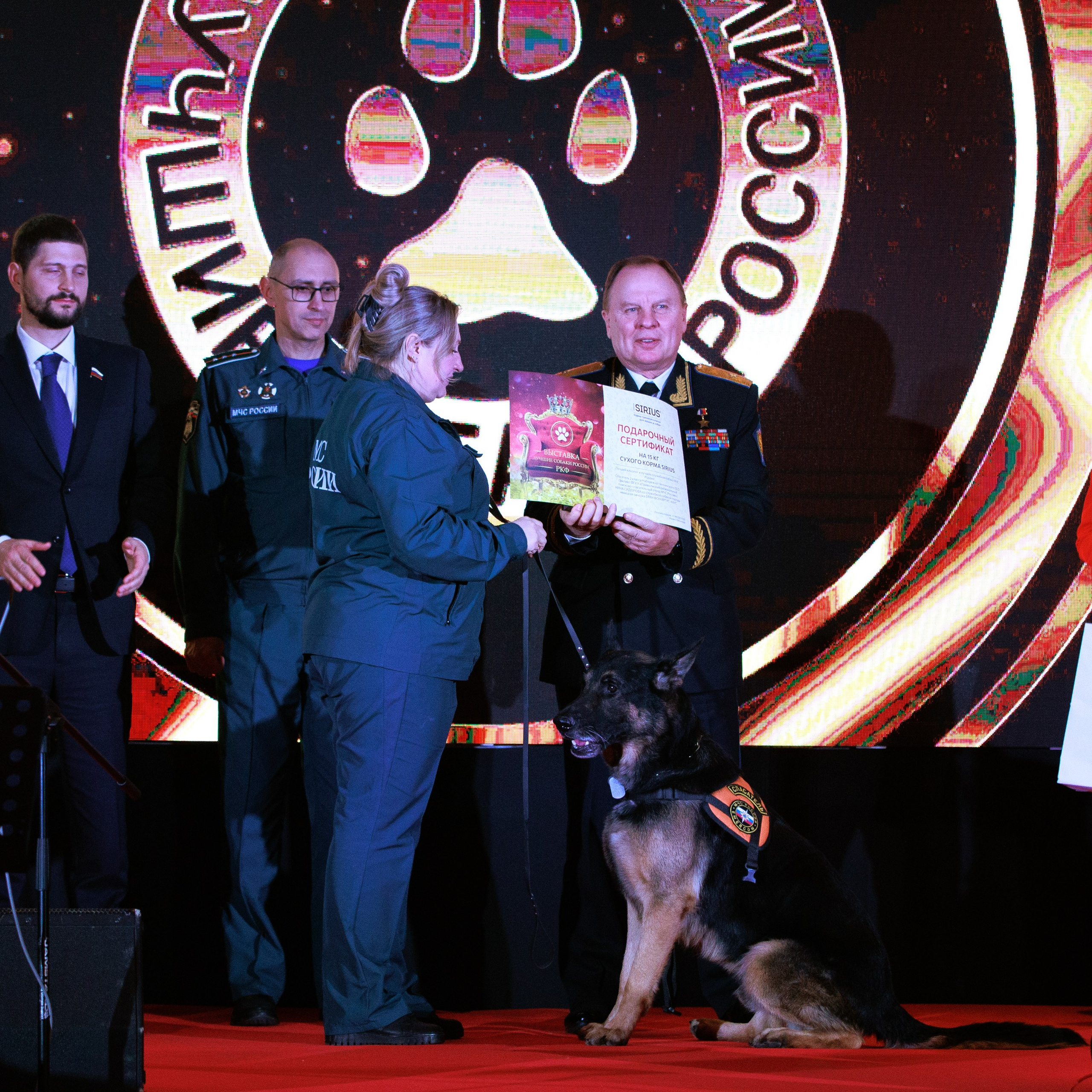 Репортаж с церемонии «BEST RUSSIAN DOG 2024». ФОТОГРАФ-АНИМАЛИСТ l LANA POLYAKOVA