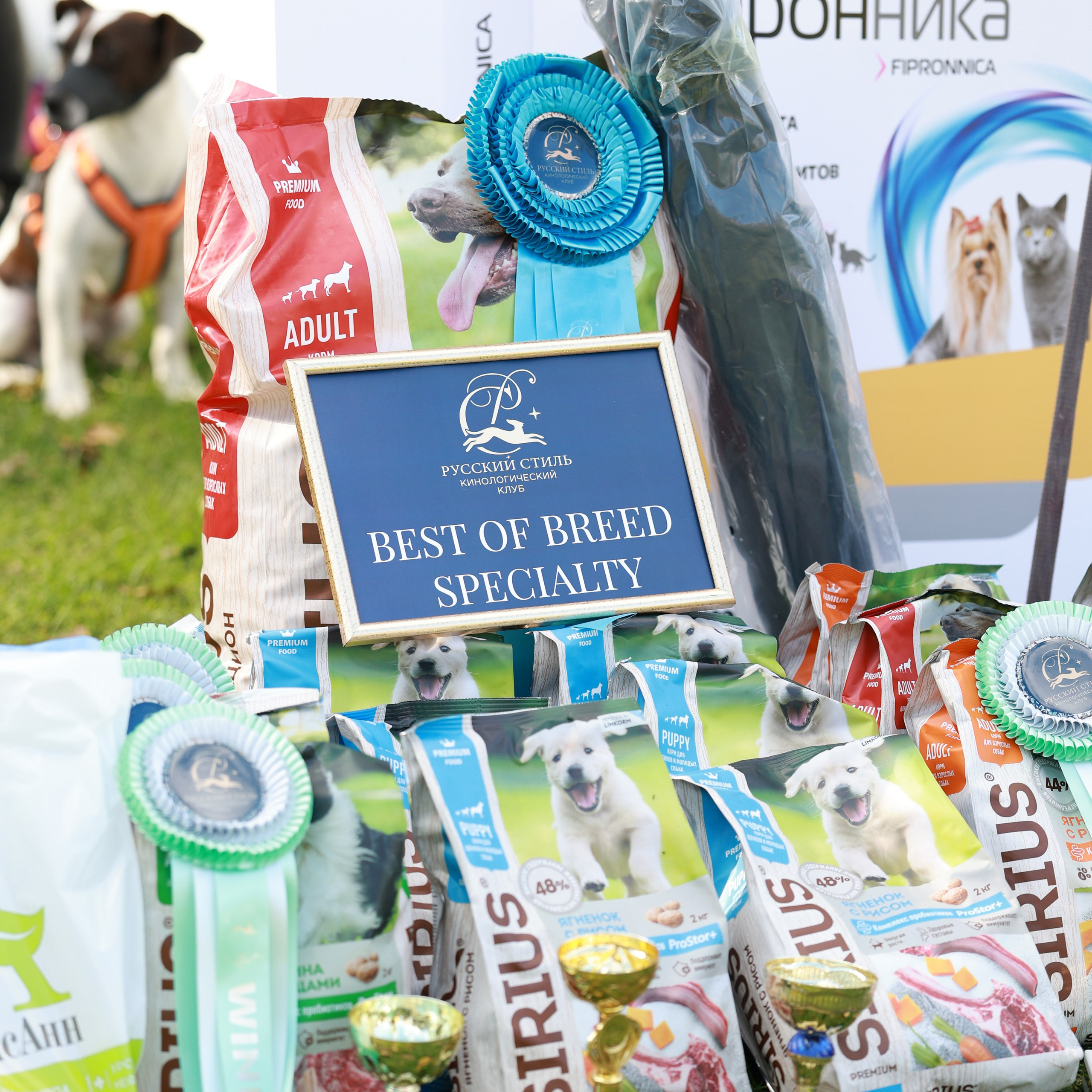 27-28.09.2025 ВЫСТАВКИ СОБАК ВСЕХ ПОРОД (САС, ЧРКФ, ЧФ). ФОТОГРАФ-АНИМАЛИСТ l LANA POLYAKOVA