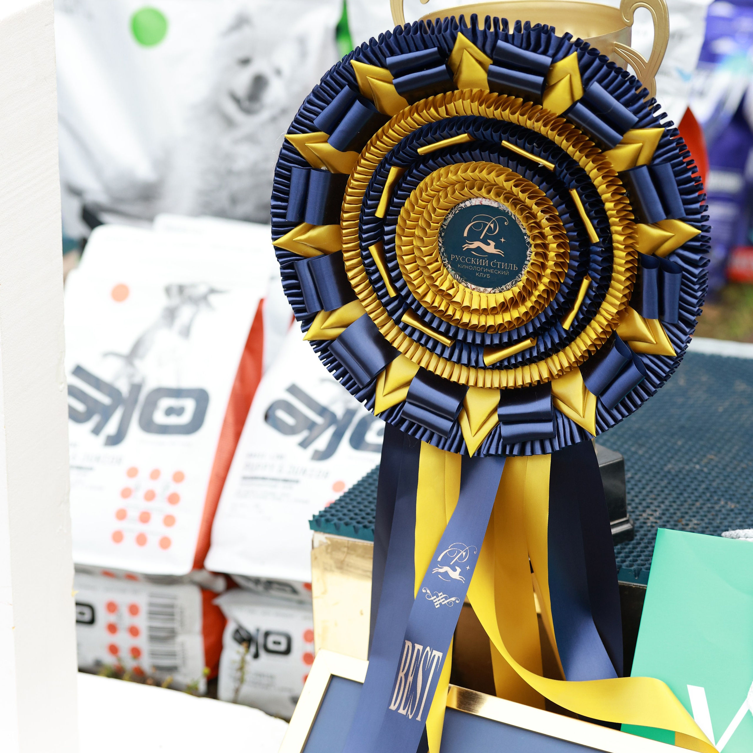 27-28.09.2025 ВЫСТАВКИ СОБАК ВСЕХ ПОРОД (САС, ЧРКФ, ЧФ). ФОТОГРАФ-АНИМАЛИСТ l LANA POLYAKOVA