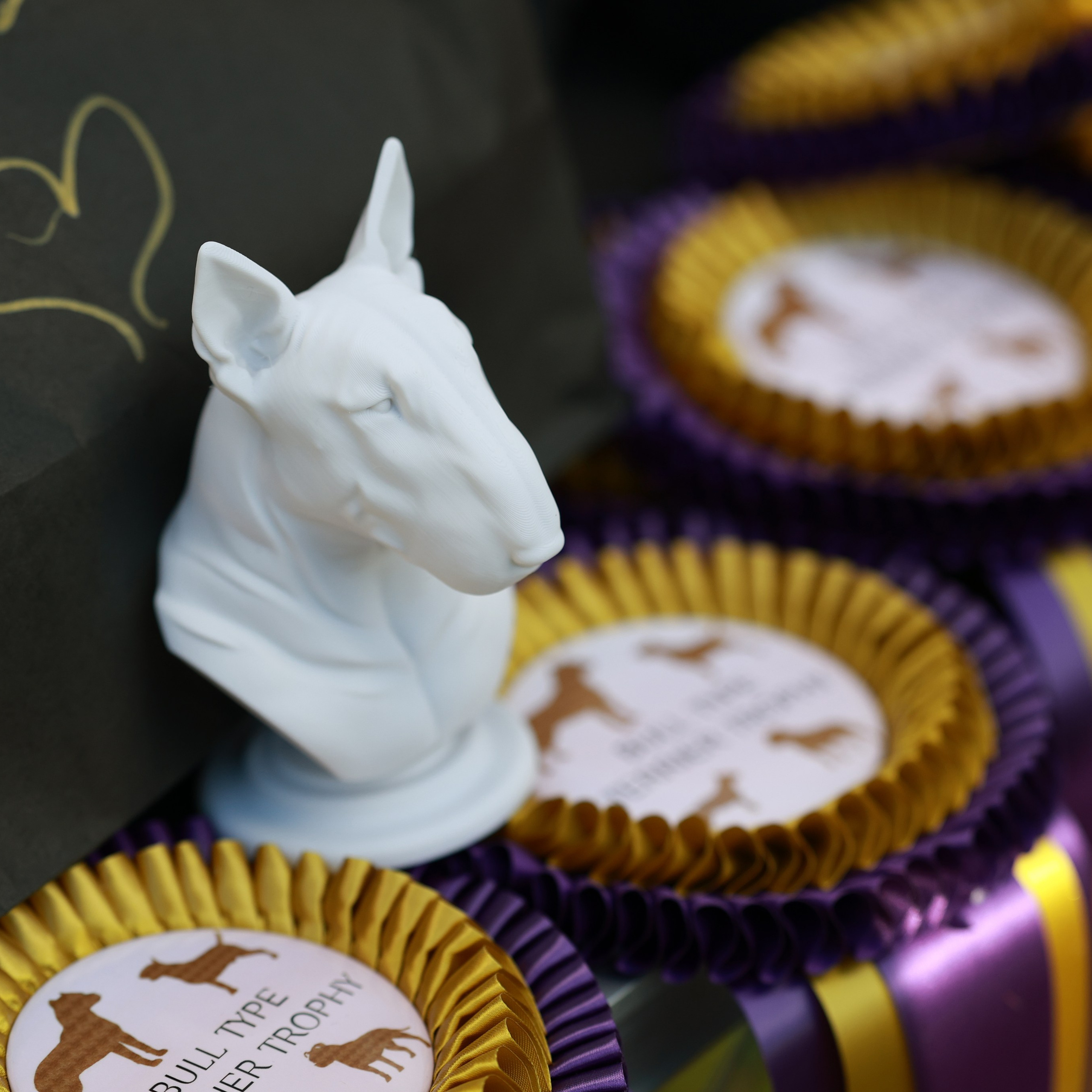 27-28.09.2025 ВЫСТАВКИ СОБАК ВСЕХ ПОРОД (САС, ЧРКФ, ЧФ). ФОТОГРАФ-АНИМАЛИСТ l LANA POLYAKOVA