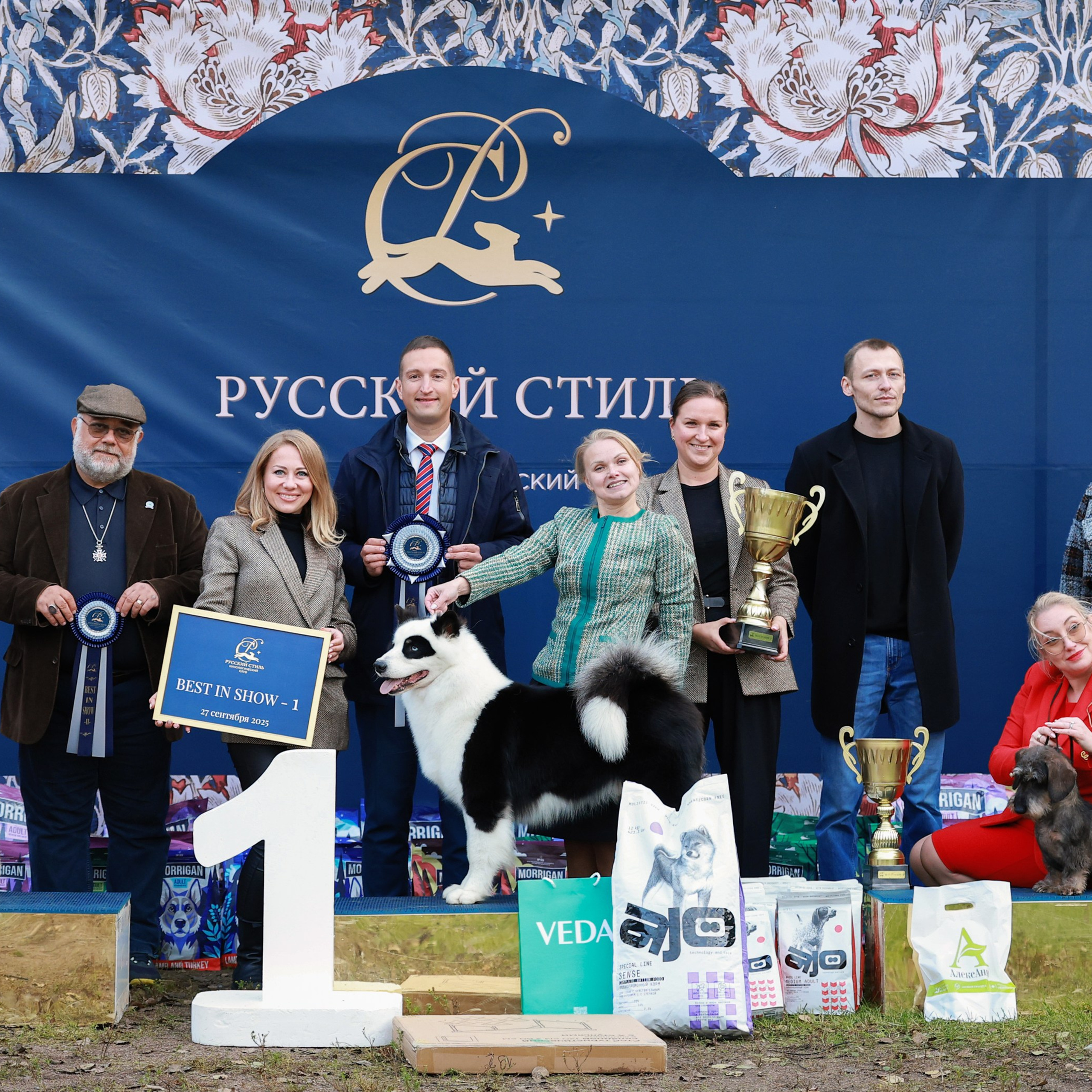 27-28.09.2025 ВЫСТАВКИ СОБАК ВСЕХ ПОРОД (САС, ЧРКФ, ЧФ). ФОТОГРАФ-АНИМАЛИСТ l LANA POLYAKOVA