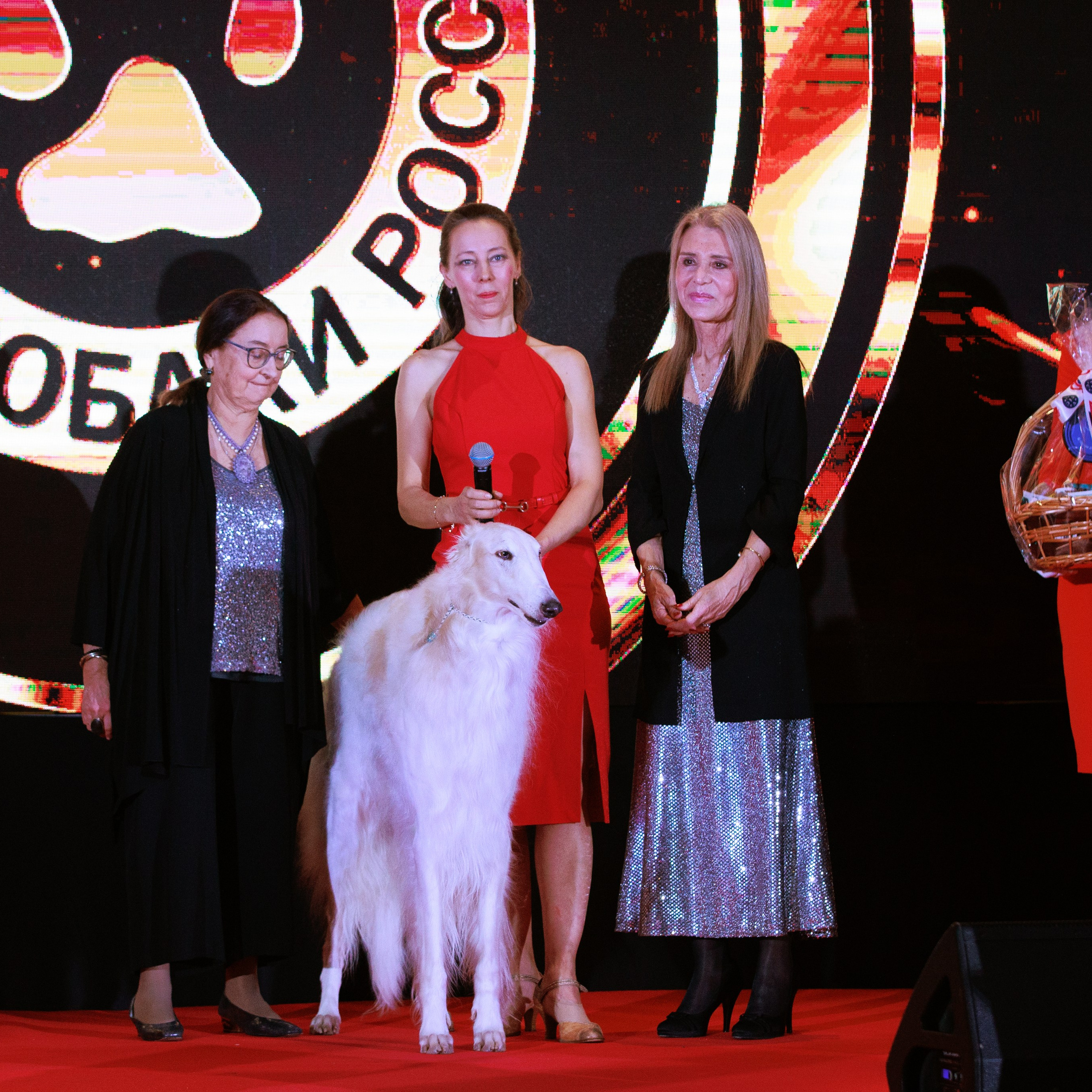 Репортаж с церемонии «BEST RUSSIAN DOG 2024». ФОТОГРАФ-АНИМАЛИСТ l LANA POLYAKOVA