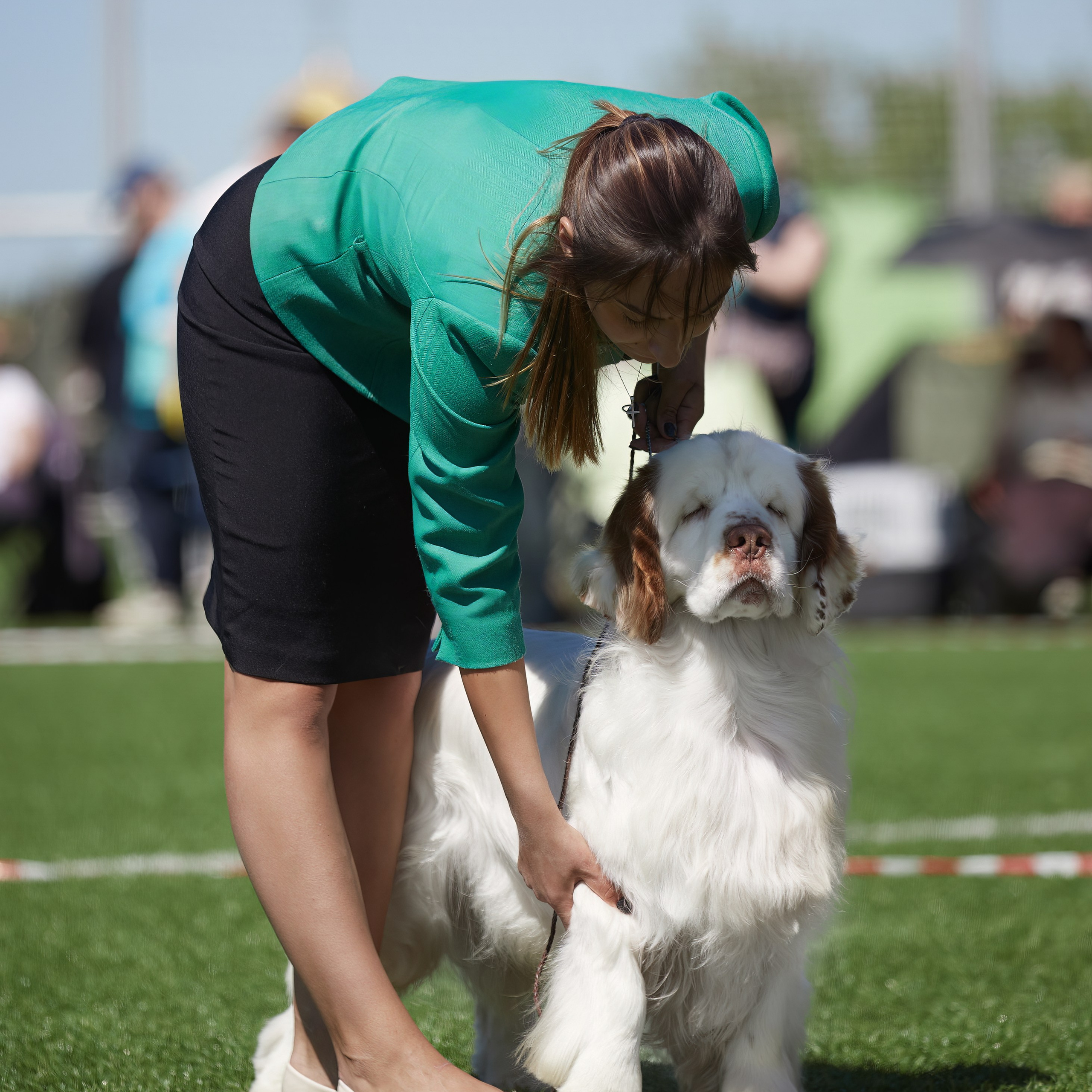 Отгремела «Суздаль-2024». ФОТОГРАФ-АНИМАЛИСТ l LANA POLYAKOVA