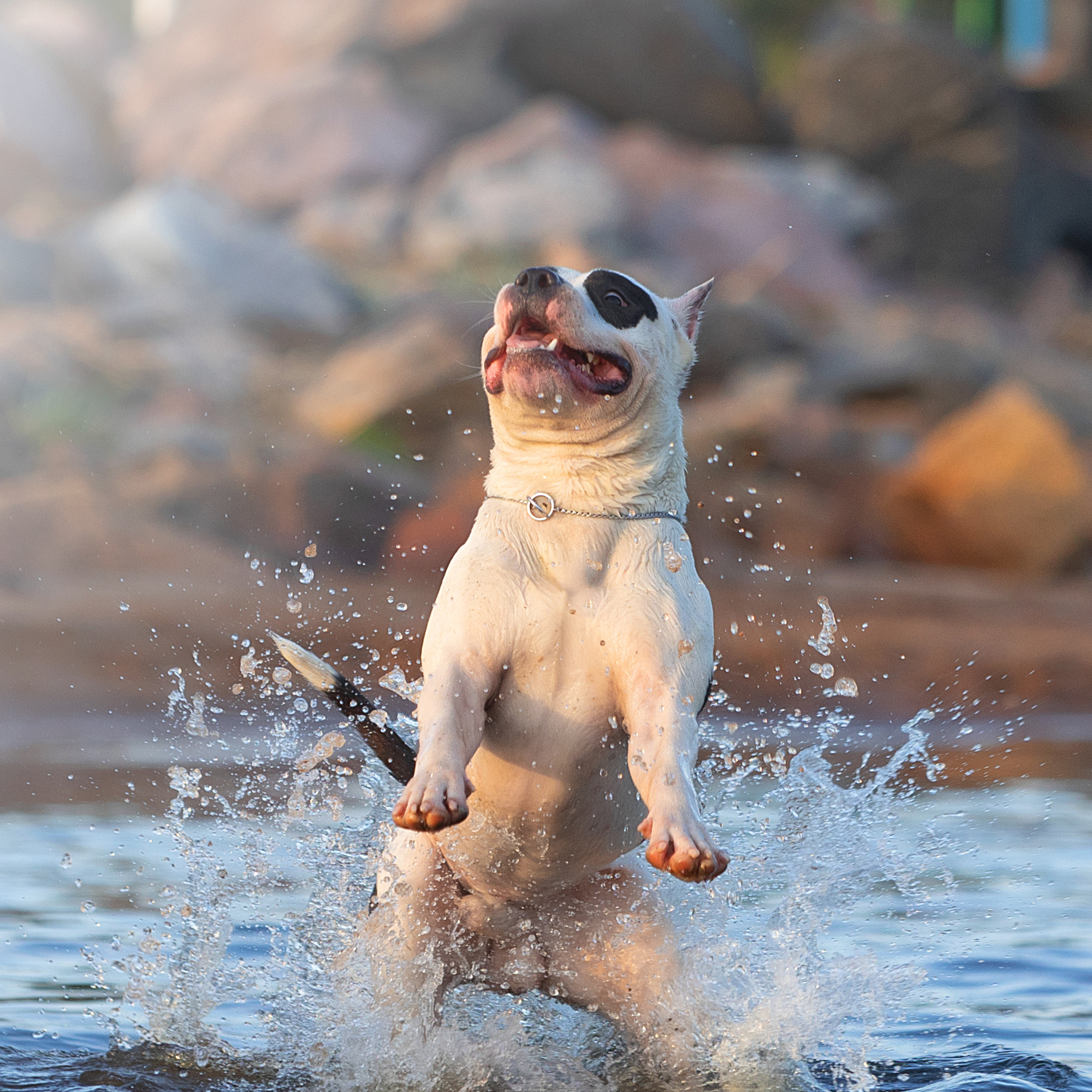 WORK-SHOP 16.07.23 завершён. ФОТОГРАФ-АНИМАЛИСТ l LANA POLYAKOVA