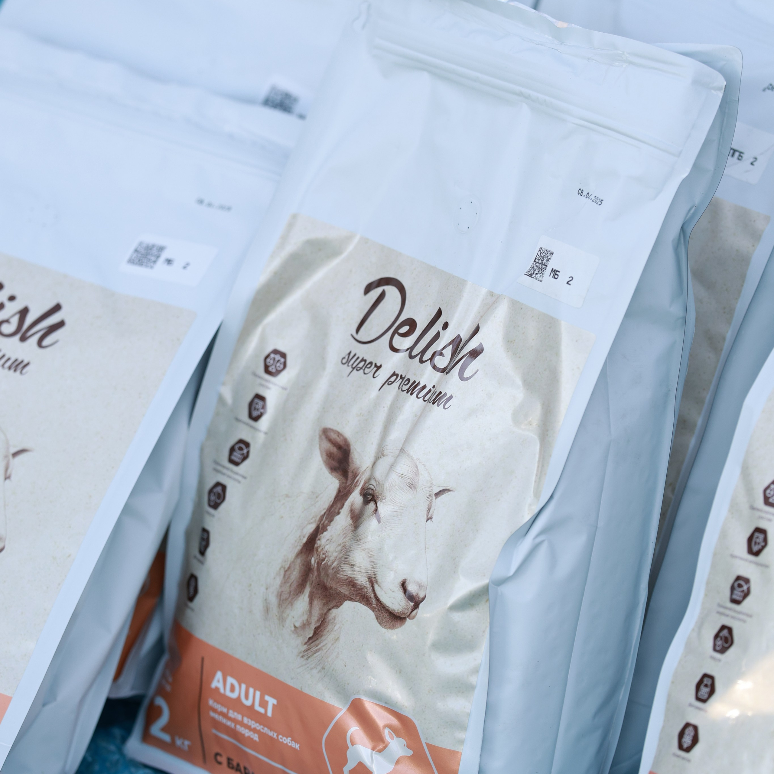 27-28.09.2025 ВЫСТАВКИ СОБАК ВСЕХ ПОРОД (САС, ЧРКФ, ЧФ). ФОТОГРАФ-АНИМАЛИСТ l LANA POLYAKOVA