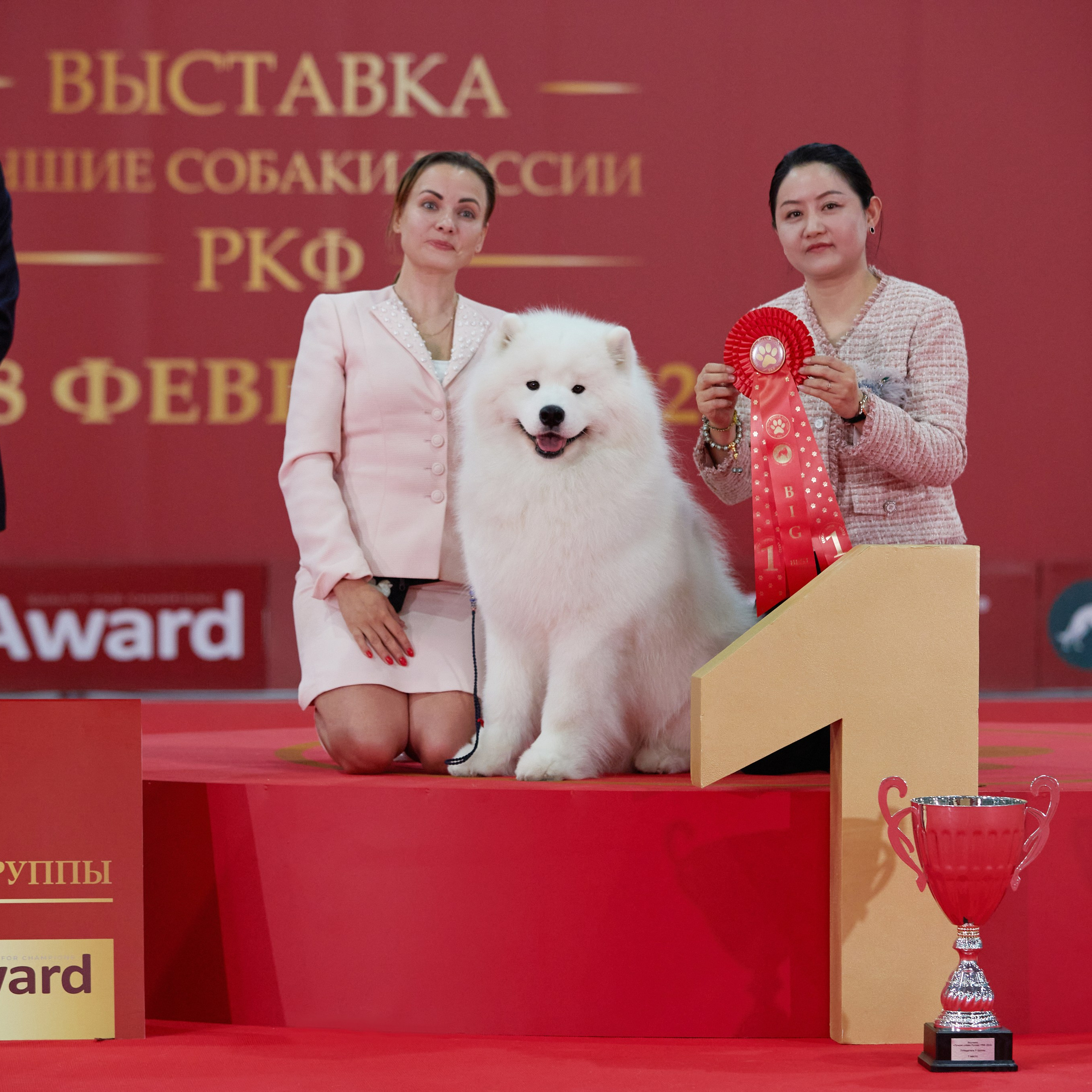 Новое шоу чемпионов «ЛУЧШИЕ СОБАКИ РОССИИ». ФОТОГРАФ-АНИМАЛИСТ l LANA POLYAKOVA
