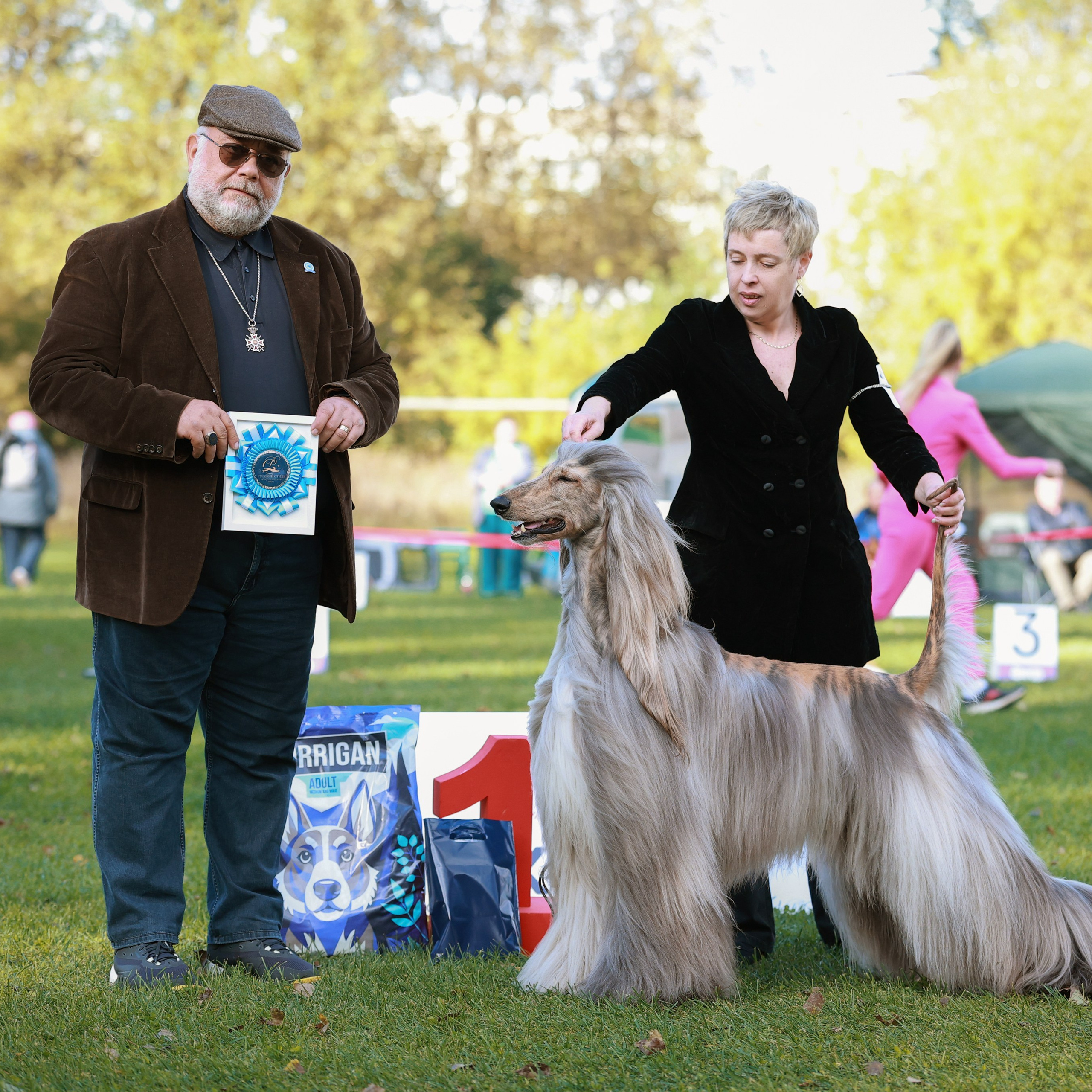 27-28.09.2025 ВЫСТАВКИ СОБАК ВСЕХ ПОРОД (САС, ЧРКФ, ЧФ). ФОТОГРАФ-АНИМАЛИСТ l LANA POLYAKOVA