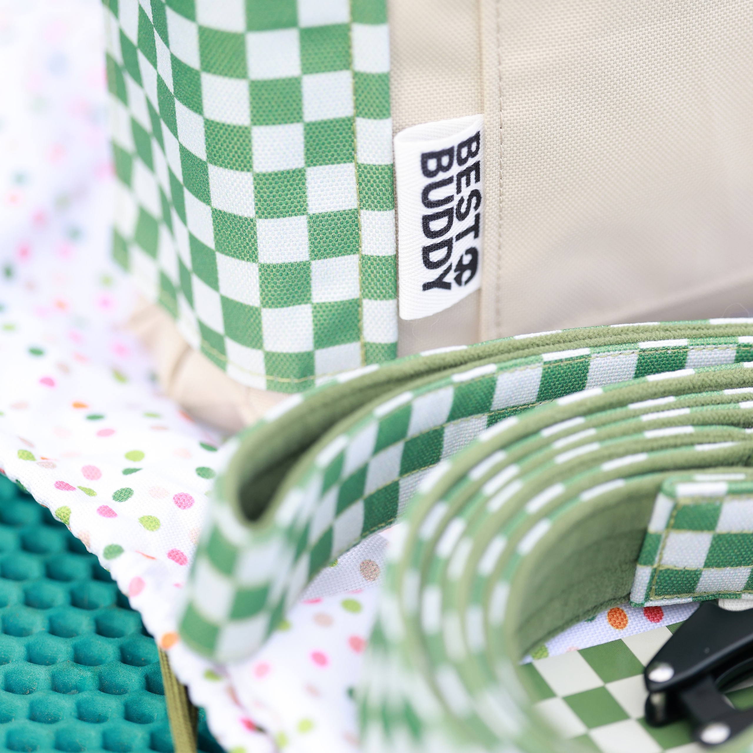 27-28.09.2025 ВЫСТАВКИ СОБАК ВСЕХ ПОРОД (САС, ЧРКФ, ЧФ). ФОТОГРАФ-АНИМАЛИСТ l LANA POLYAKOVA