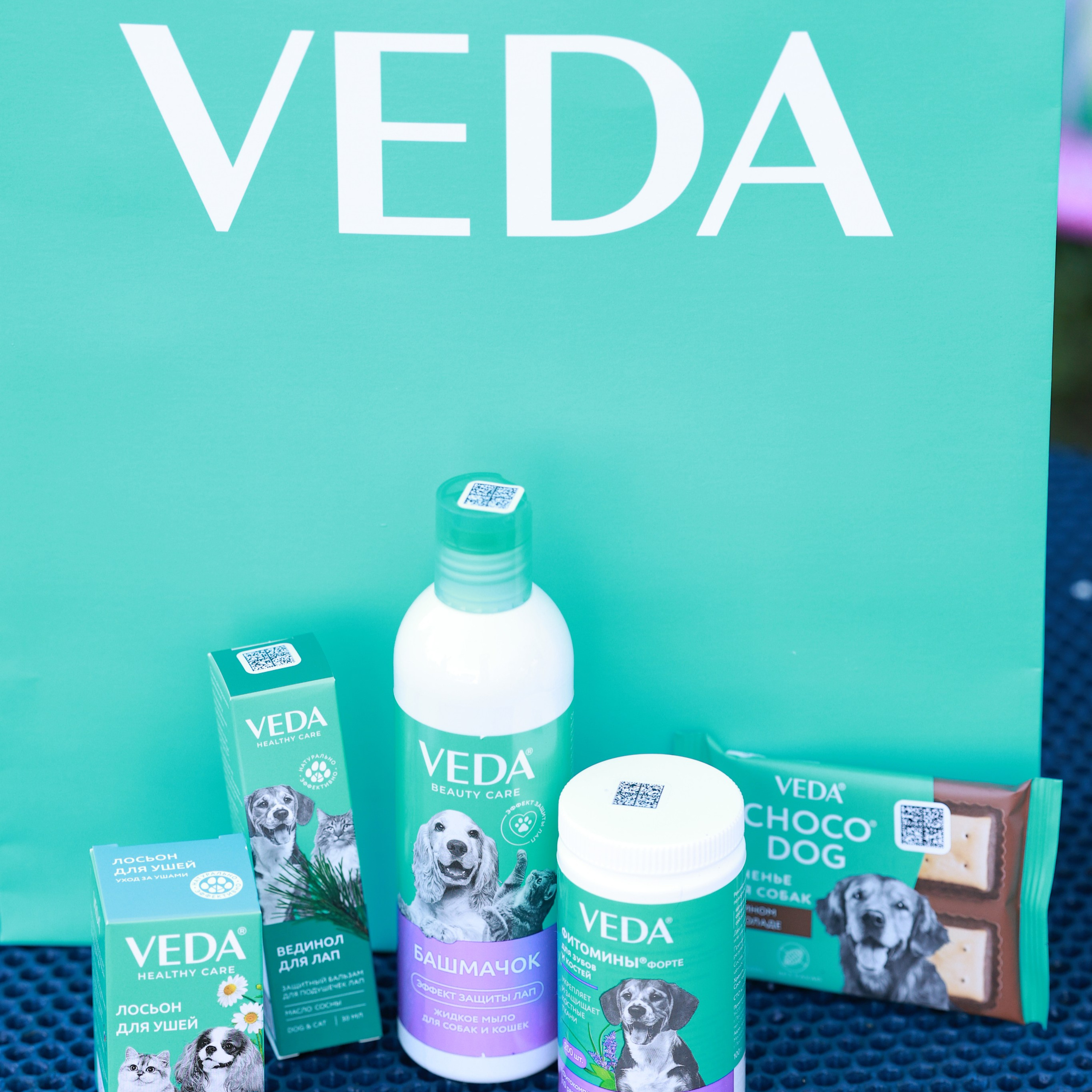 27-28.09.2025 ВЫСТАВКИ СОБАК ВСЕХ ПОРОД (САС, ЧРКФ, ЧФ). ФОТОГРАФ-АНИМАЛИСТ l LANA POLYAKOVA