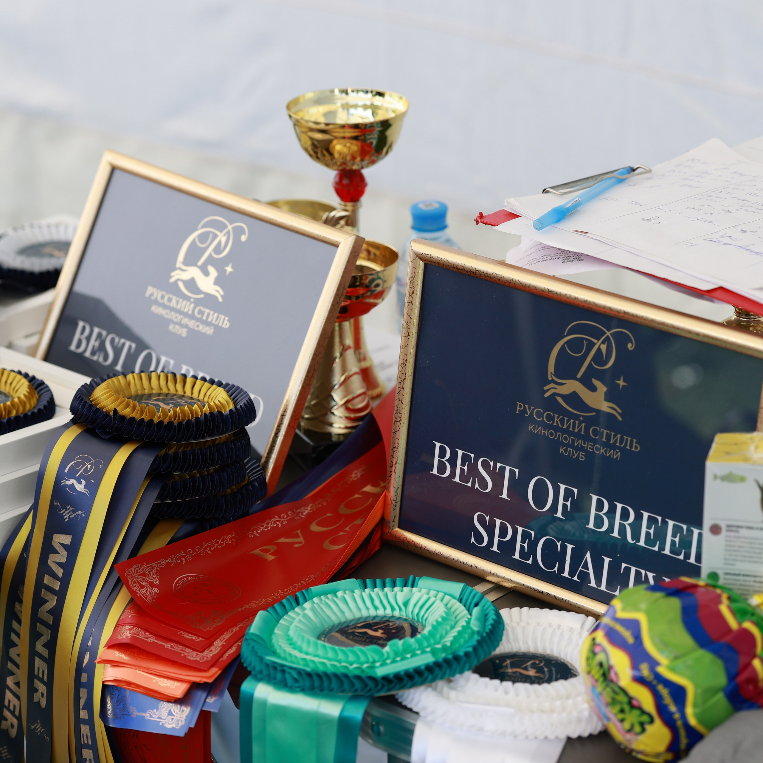 27-28.09.2025 ВЫСТАВКИ СОБАК ВСЕХ ПОРОД (САС, ЧРКФ, ЧФ). ФОТОГРАФ-АНИМАЛИСТ l LANA POLYAKOVA