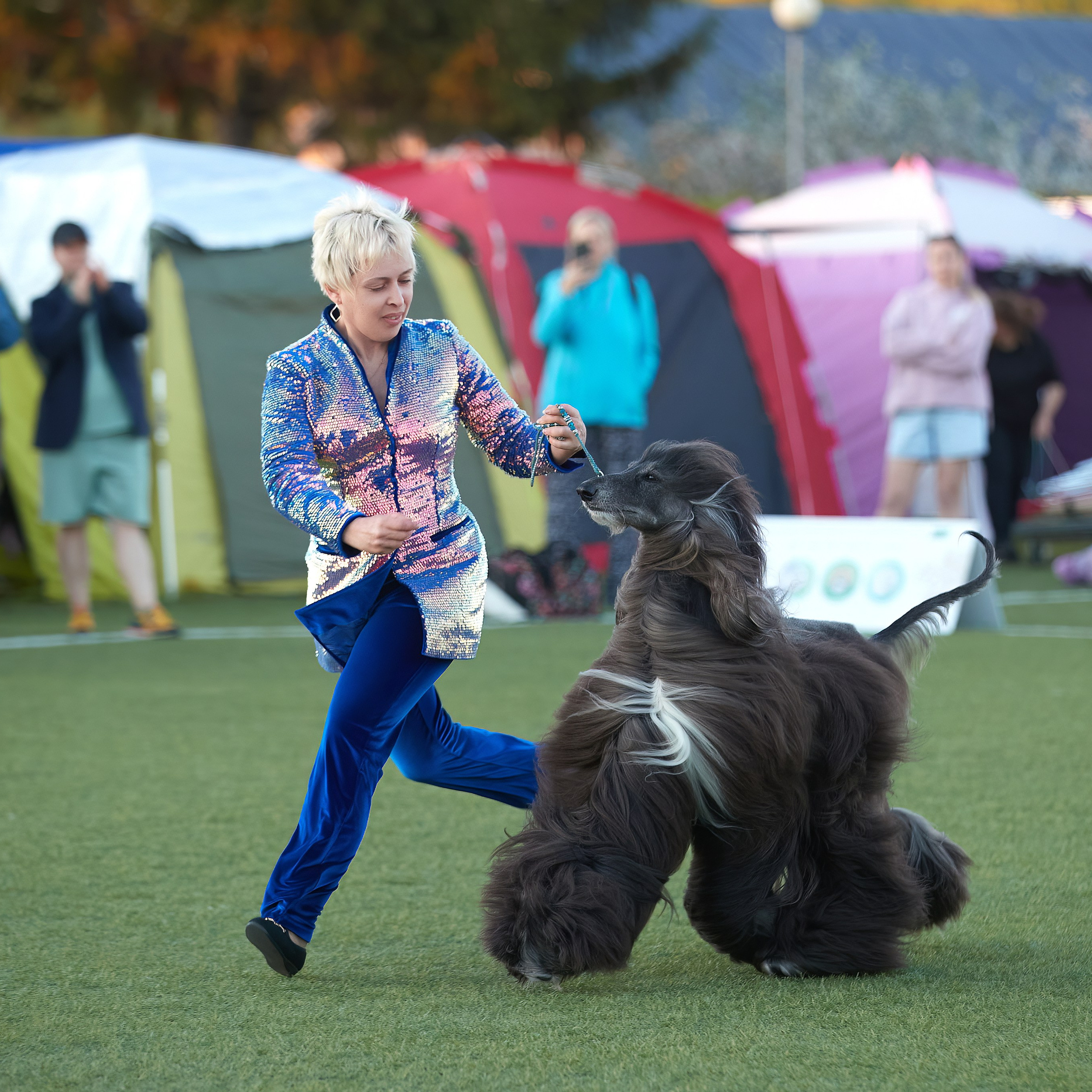 Отгремела «Суздаль-2024». ФОТОГРАФ-АНИМАЛИСТ l LANA POLYAKOVA