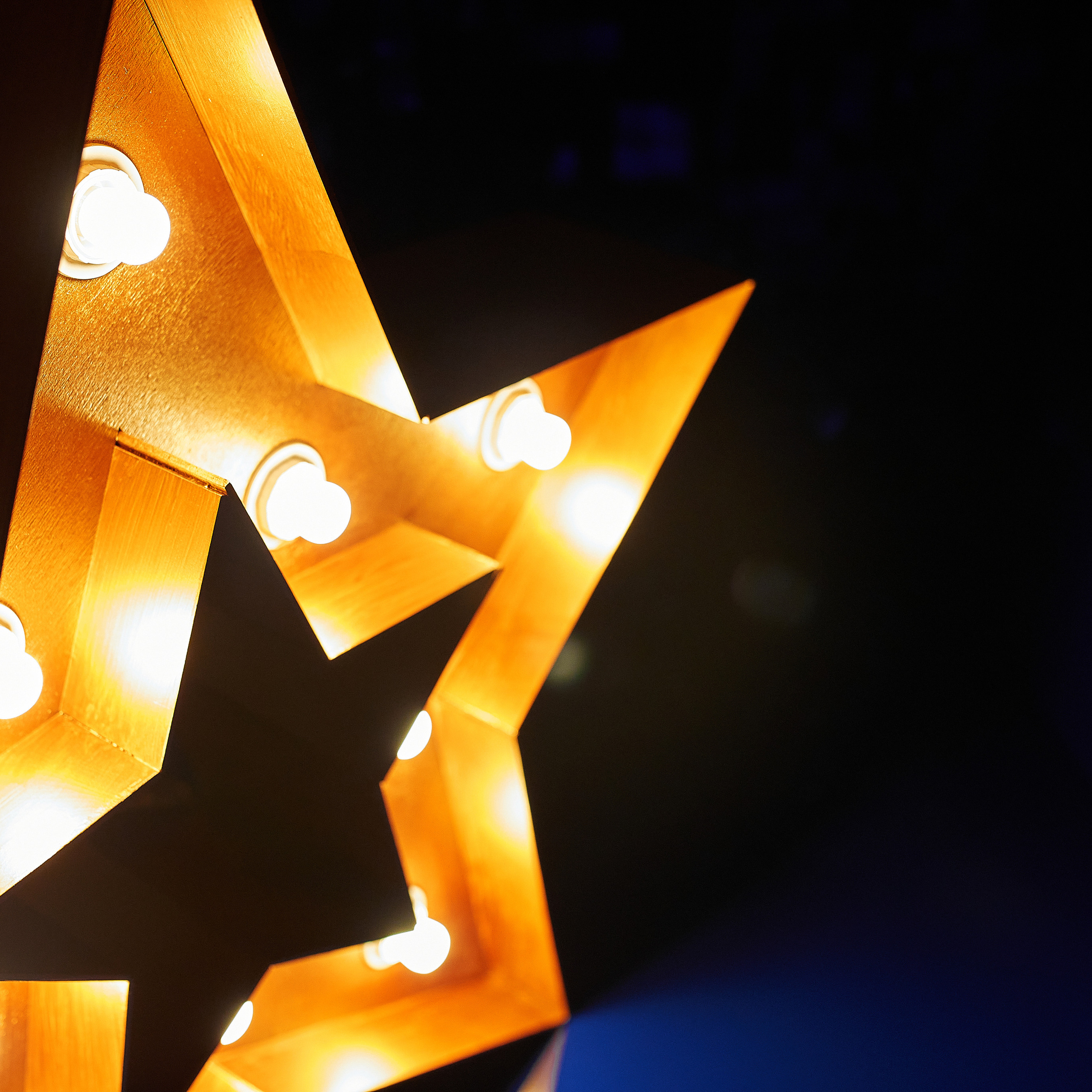 Репортаж с церемонии «BEST RUSSIAN DOG 2021». ФОТОГРАФ-АНИМАЛИСТ l LANA POLYAKOVA