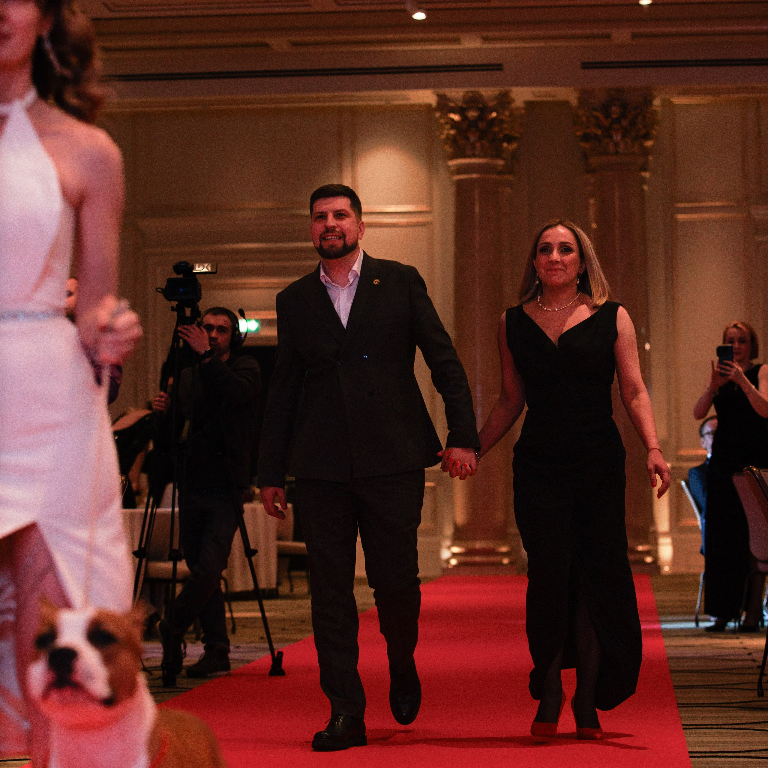 Репортаж с церемонии «BEST RUSSIAN DOG 2024». ФОТОГРАФ-АНИМАЛИСТ l LANA POLYAKOVA