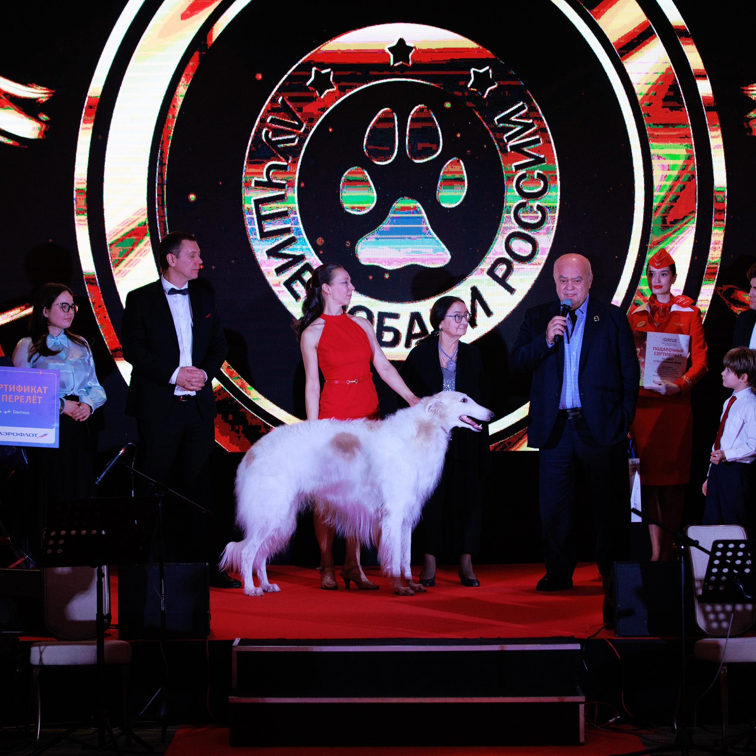 Репортаж с церемонии «BEST RUSSIAN DOG 2024». ФОТОГРАФ-АНИМАЛИСТ l LANA POLYAKOVA