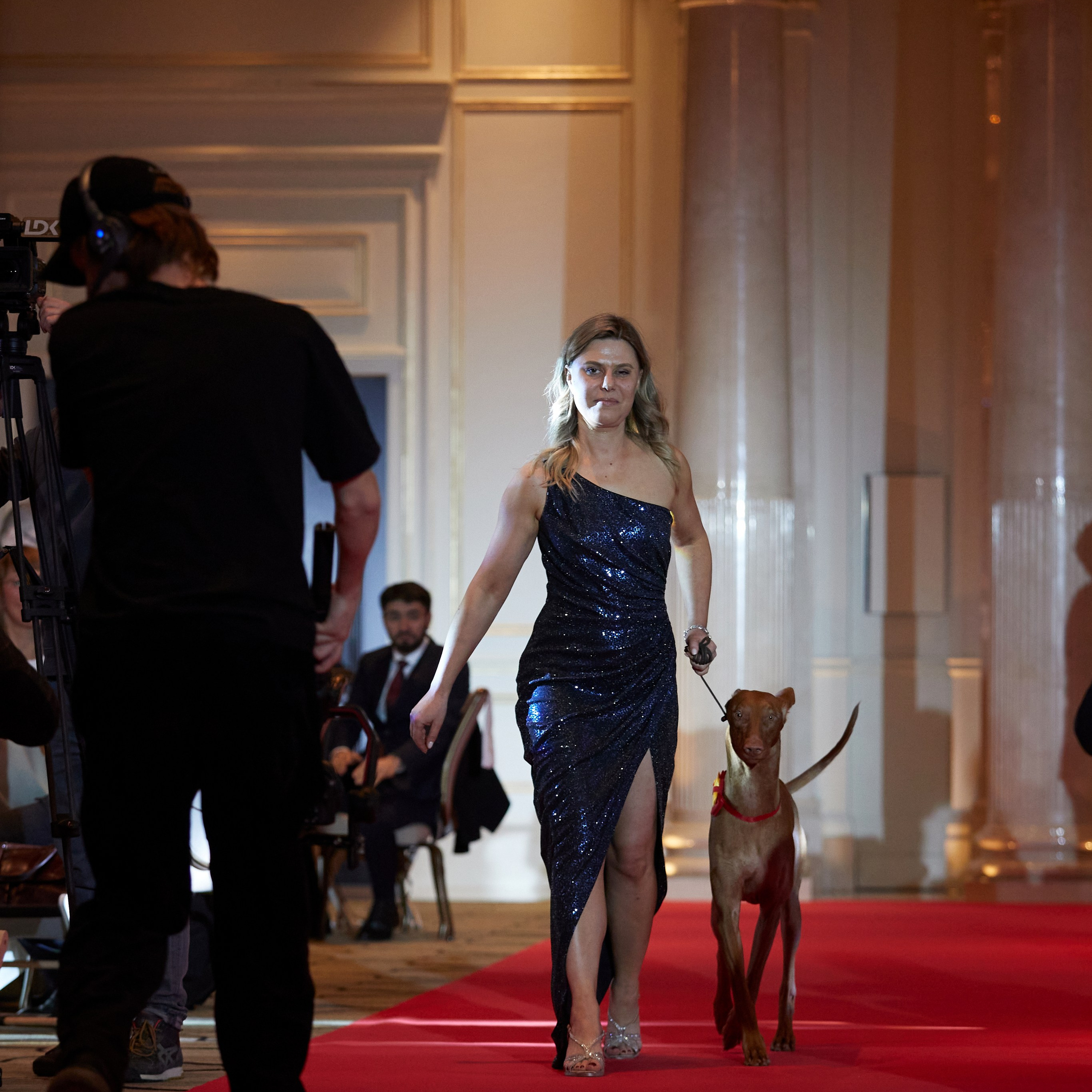 Репортаж с церемонии «BEST RUSSIAN DOG 2024». ФОТОГРАФ-АНИМАЛИСТ l LANA POLYAKOVA