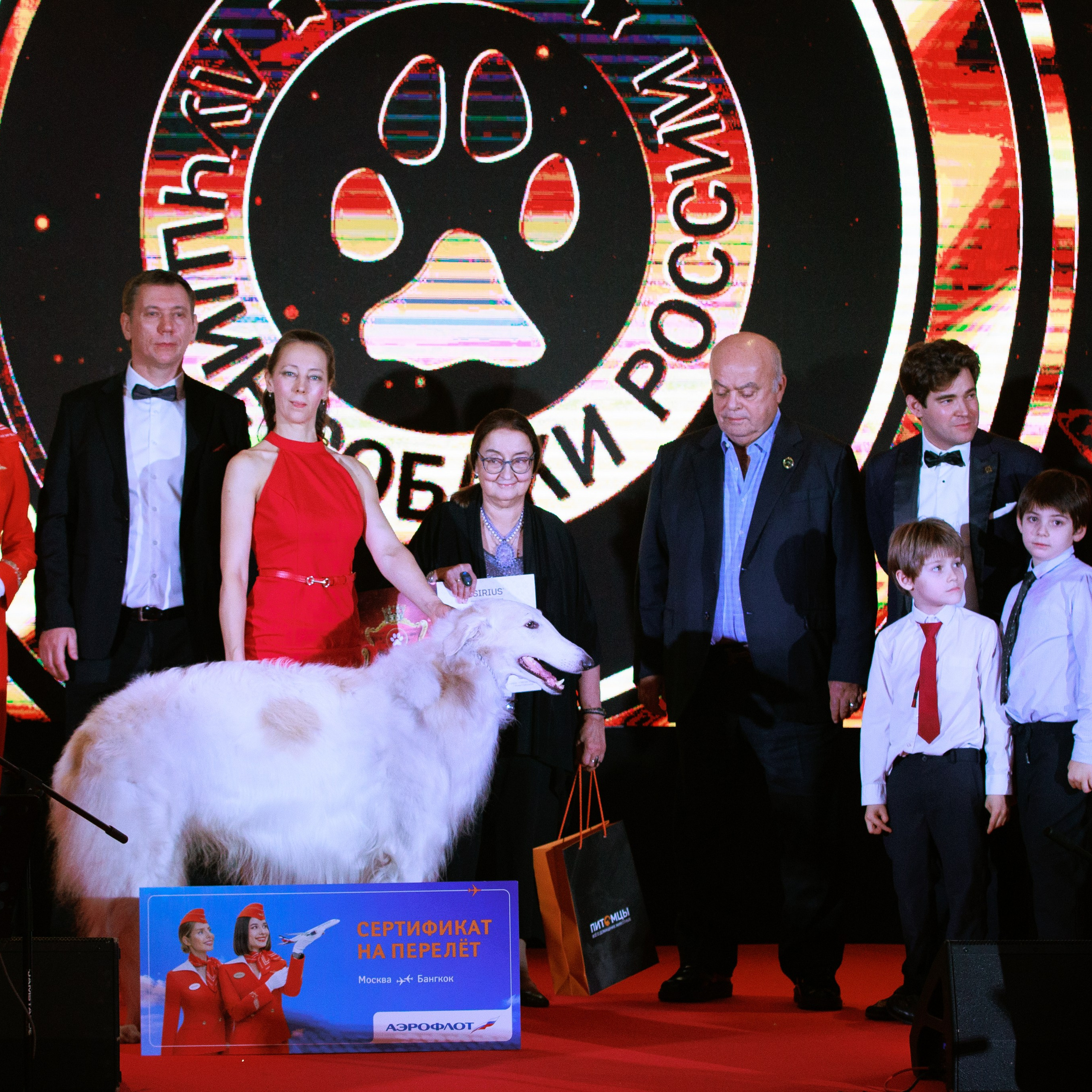 Репортаж с церемонии «BEST RUSSIAN DOG 2024». ФОТОГРАФ-АНИМАЛИСТ l LANA POLYAKOVA