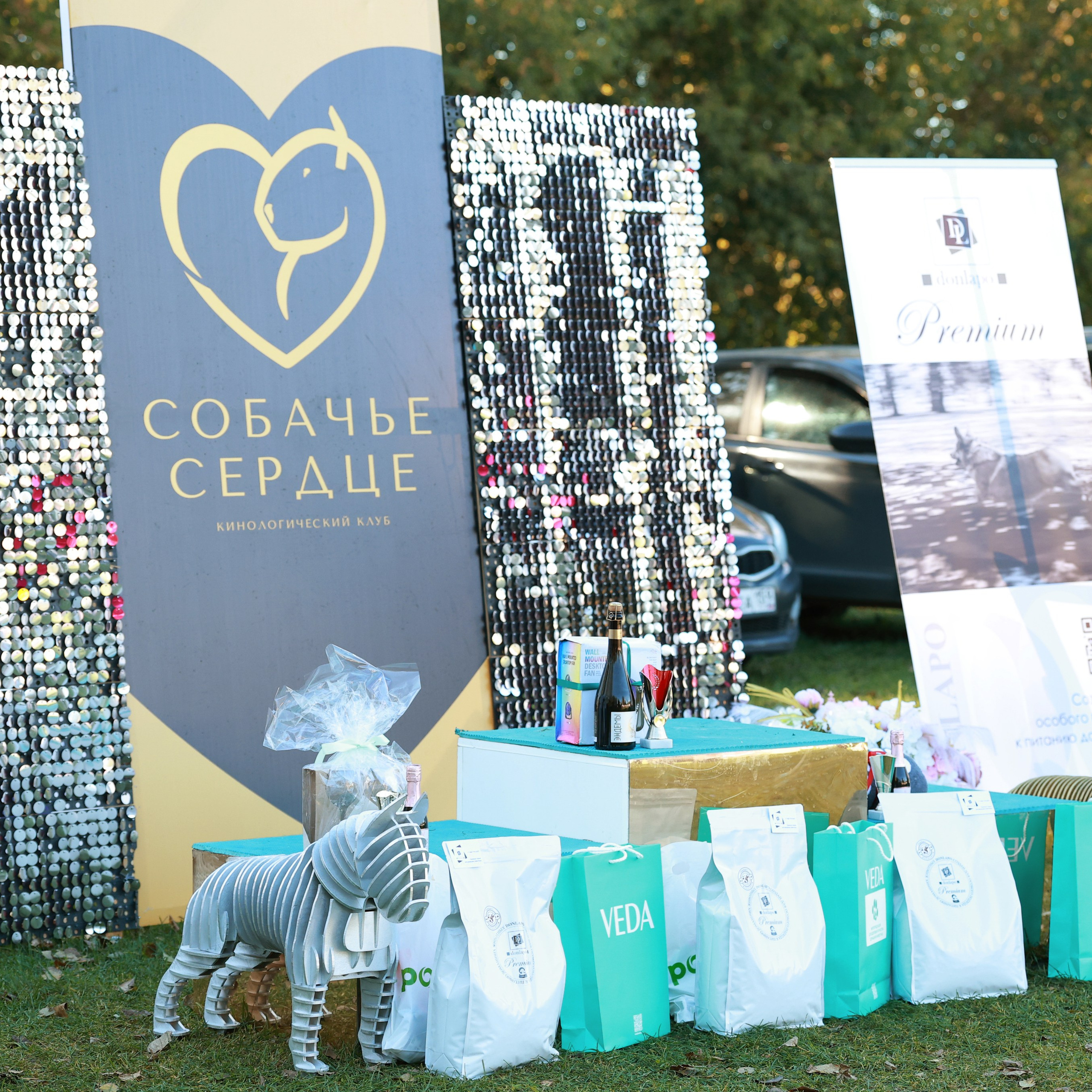 27-28.09.2025 ВЫСТАВКИ СОБАК ВСЕХ ПОРОД (САС, ЧРКФ, ЧФ). ФОТОГРАФ-АНИМАЛИСТ l LANA POLYAKOVA