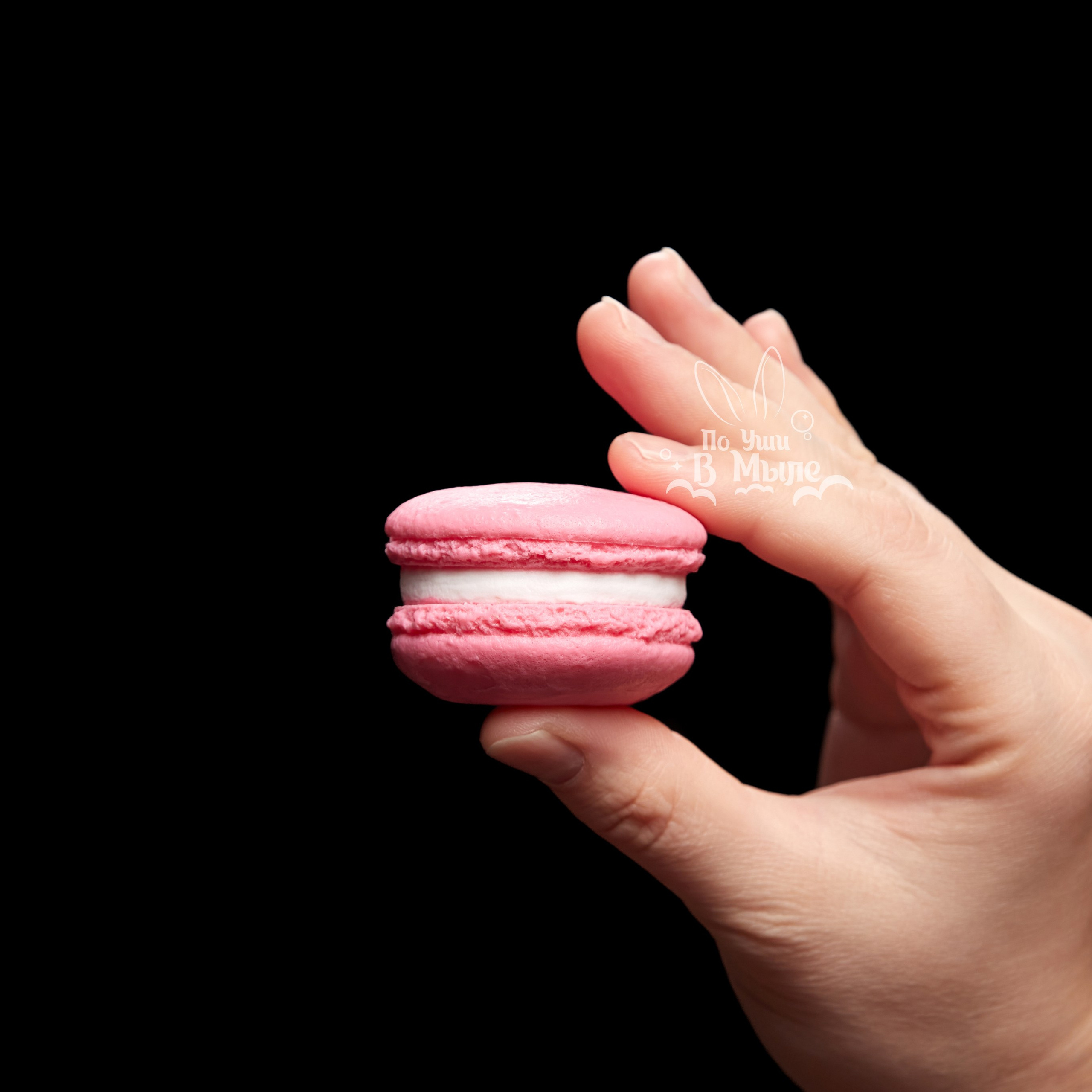 Логотип для мастерской необычного мыла. ФОТОГРАФ-АНИМАЛИСТ l LANA POLYAKOVA