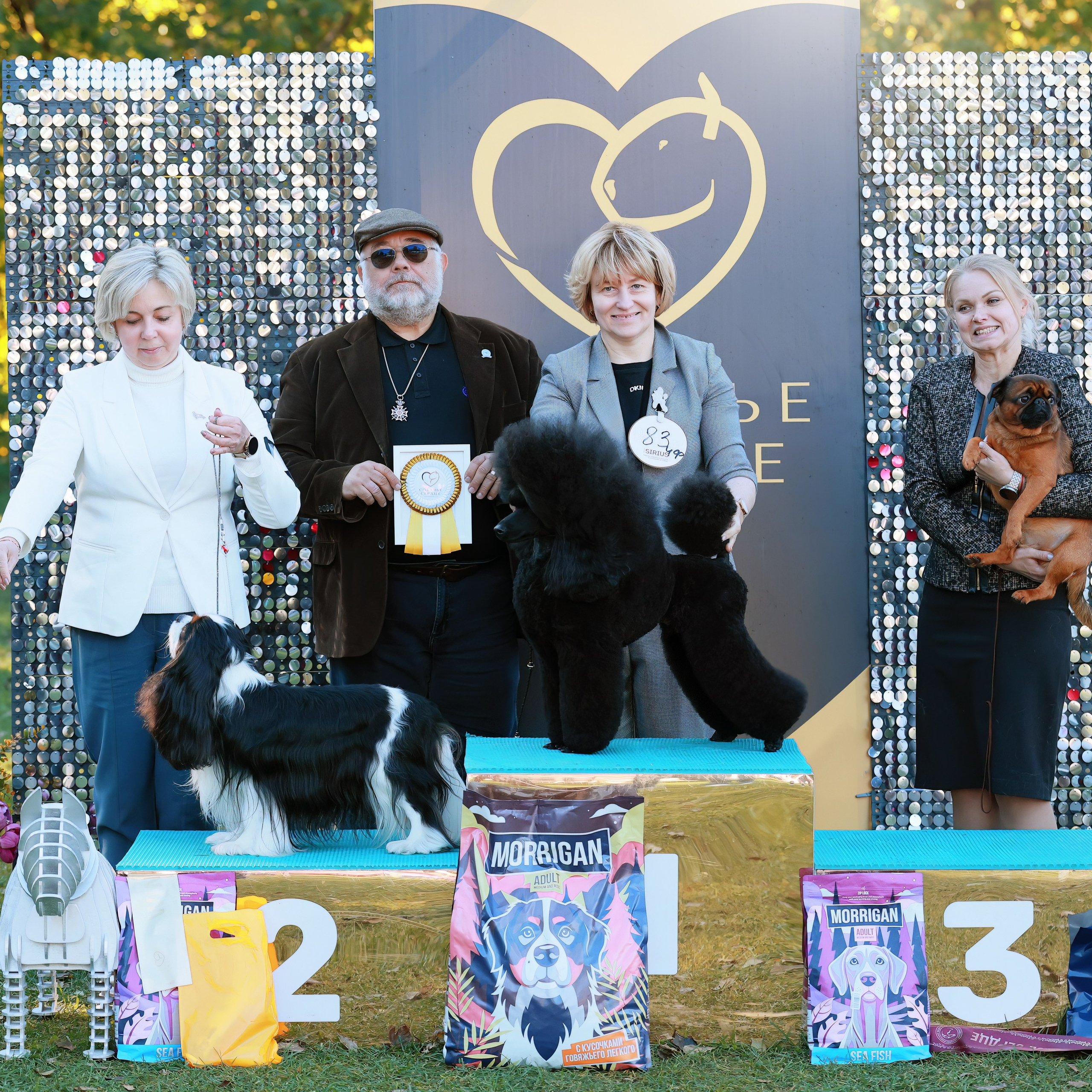 27-28.09.2025 ВЫСТАВКИ СОБАК ВСЕХ ПОРОД (САС, ЧРКФ, ЧФ). ФОТОГРАФ-АНИМАЛИСТ l LANA POLYAKOVA