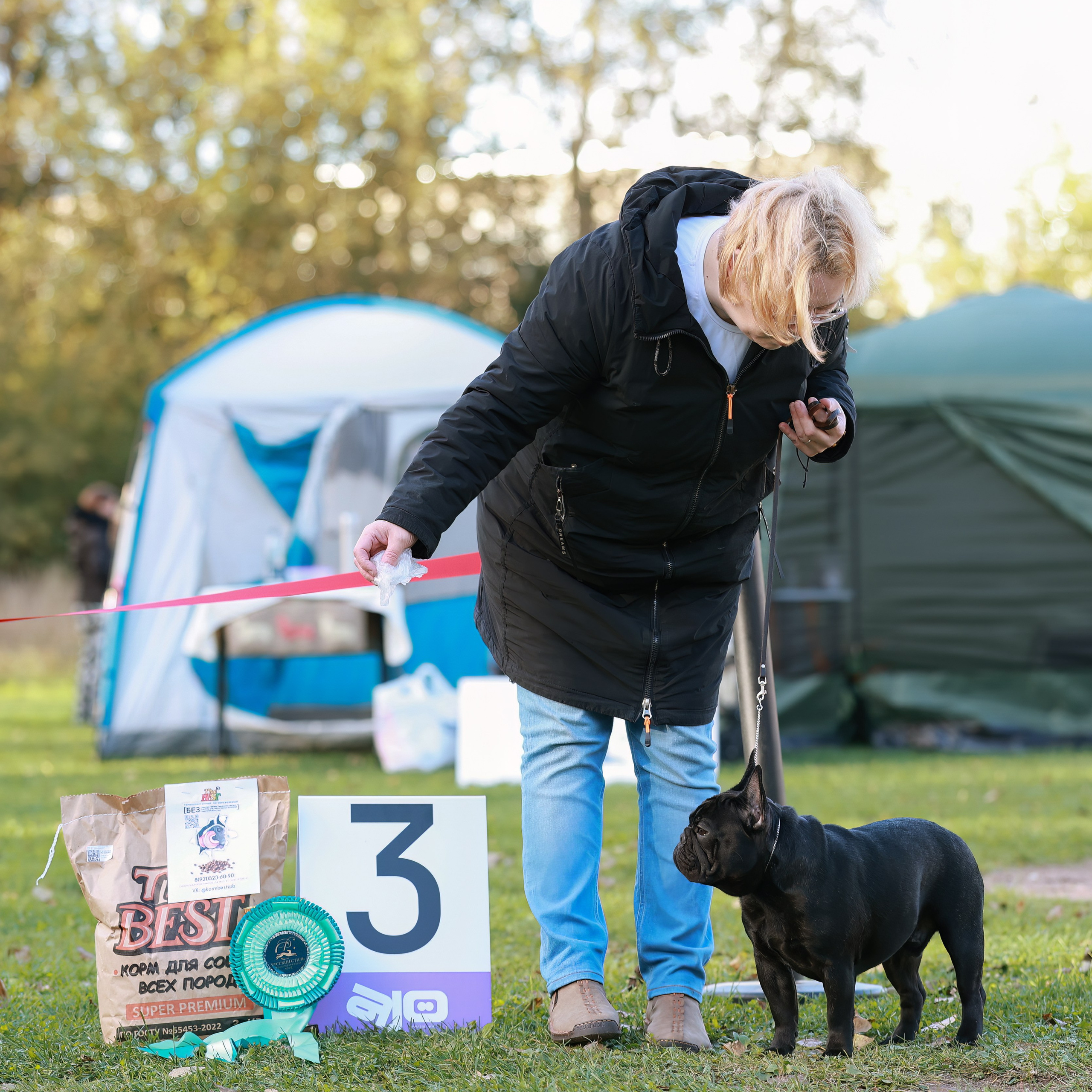 27-28.09.2025 ВЫСТАВКИ СОБАК ВСЕХ ПОРОД (САС, ЧРКФ, ЧФ). ФОТОГРАФ-АНИМАЛИСТ l LANA POLYAKOVA