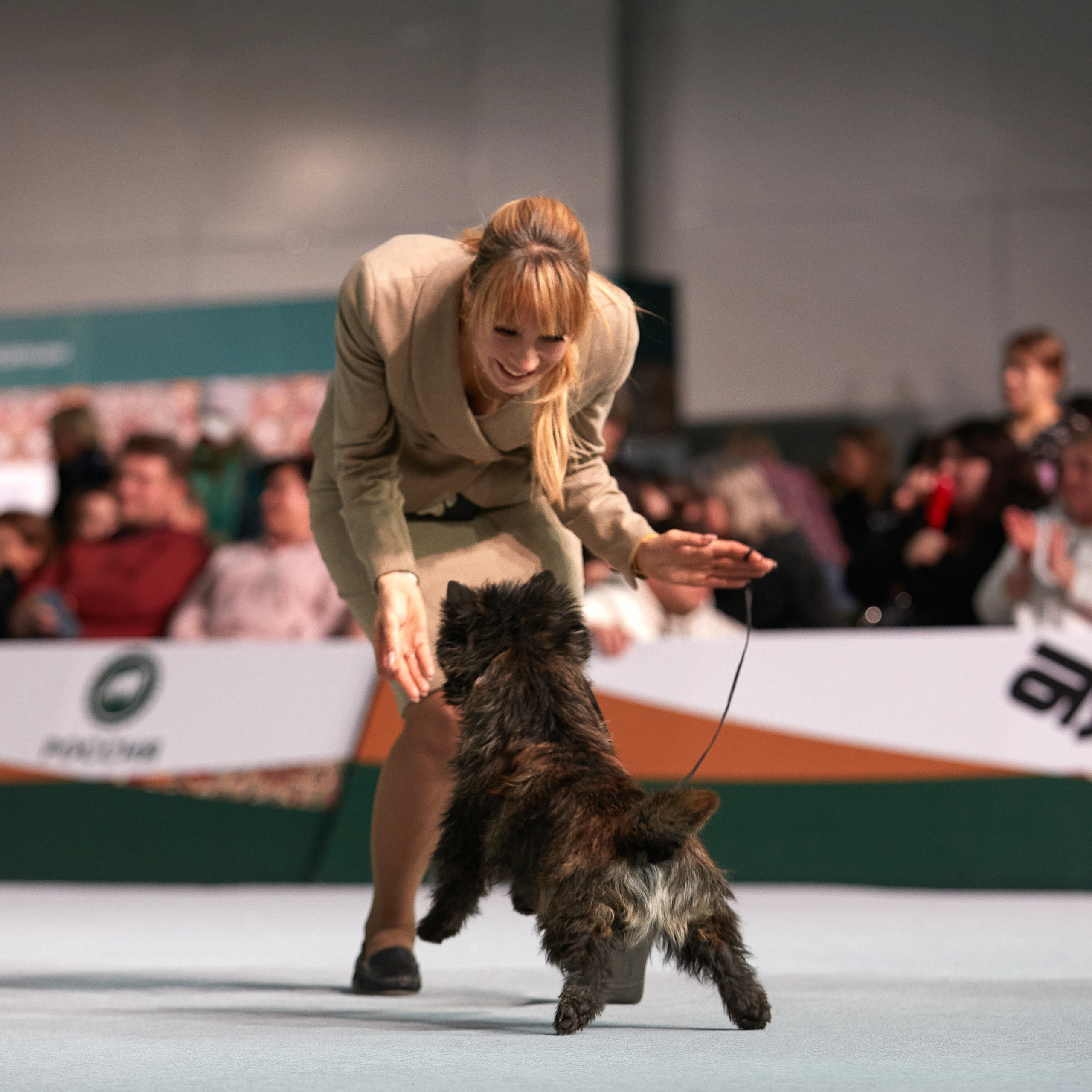 «Россия» в Крокусе. ФОТОГРАФ-АНИМАЛИСТ l LANA POLYAKOVA