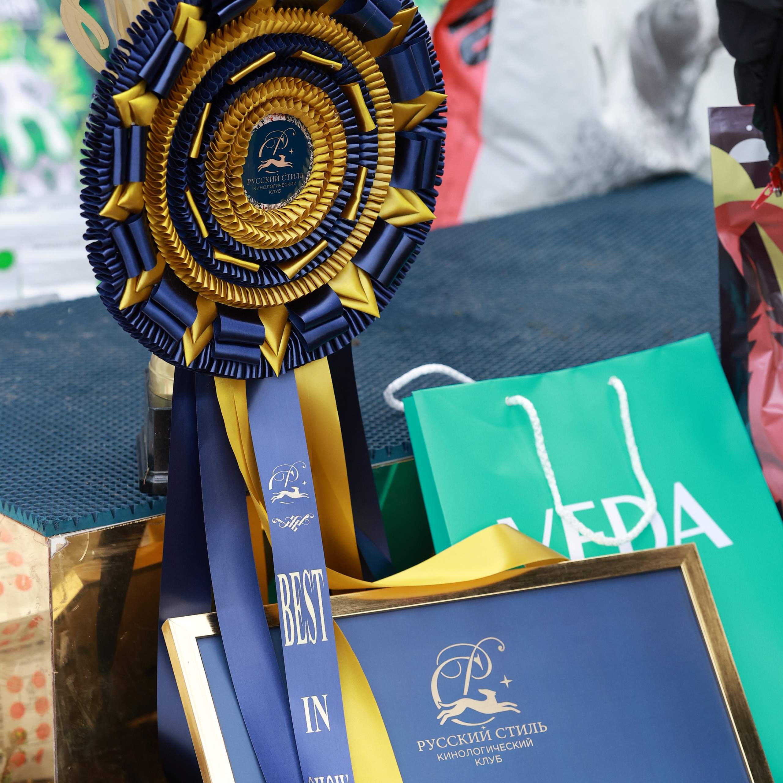 27-28.09.2025 ВЫСТАВКИ СОБАК ВСЕХ ПОРОД (САС, ЧРКФ, ЧФ). ФОТОГРАФ-АНИМАЛИСТ l LANA POLYAKOVA