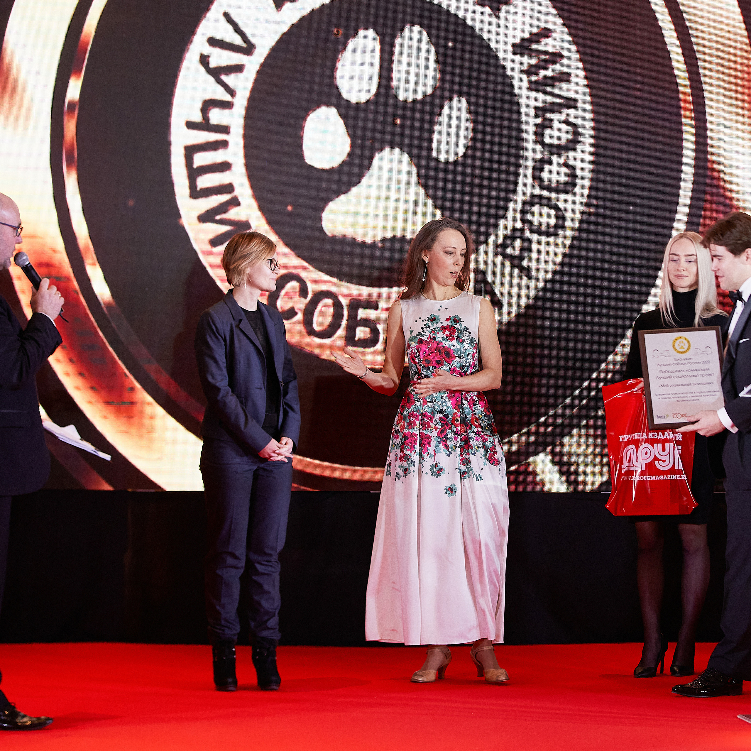 НАГРАЖДЕНИЕ ПОБЕДИТЕЛЕЙ РЕЙТИНГА «BEST RUSSIAN DOG» 2020. ФОТОГРАФ-АНИМАЛИСТ l LANA POLYAKOVA