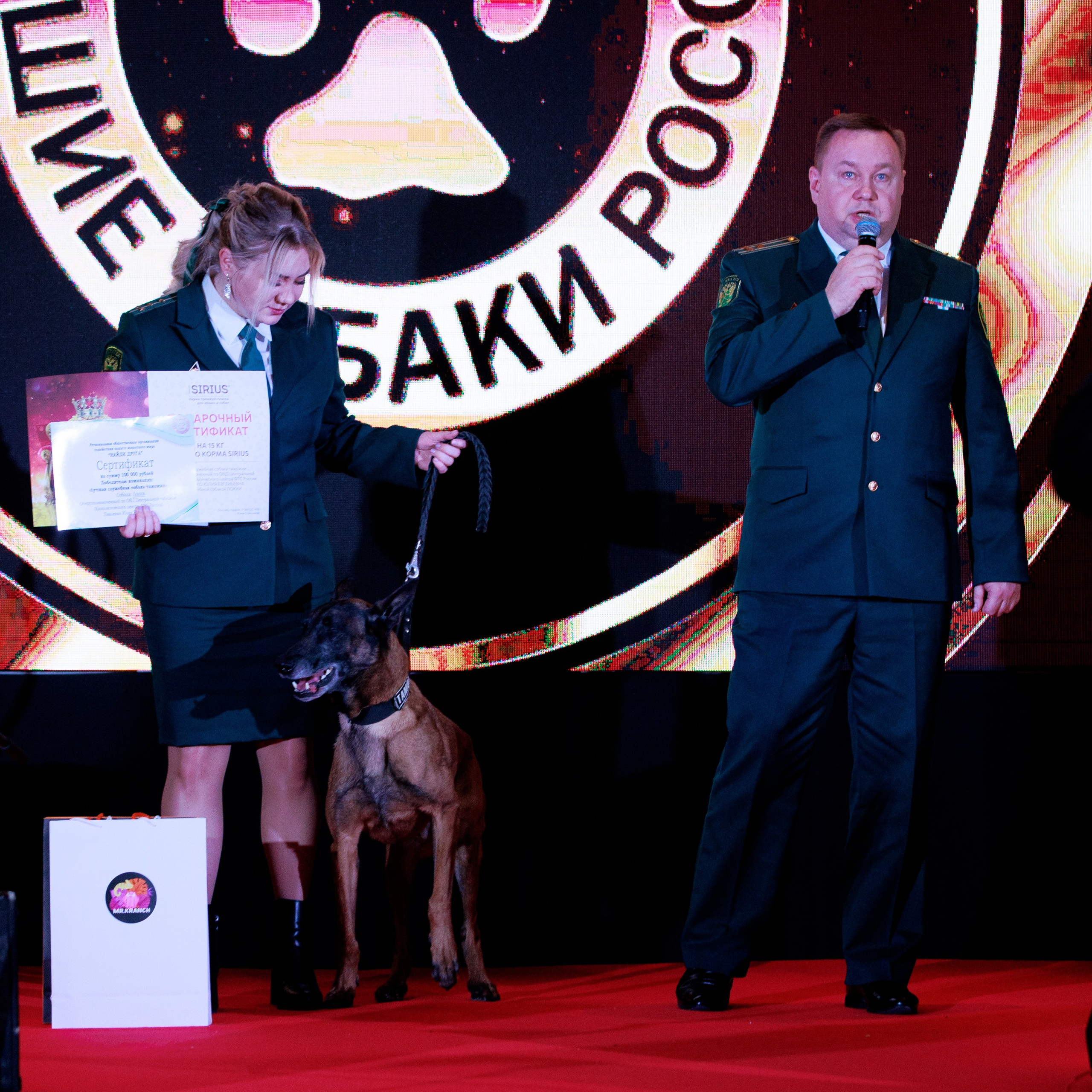 Репортаж с церемонии «BEST RUSSIAN DOG 2024». ФОТОГРАФ-АНИМАЛИСТ l LANA POLYAKOVA