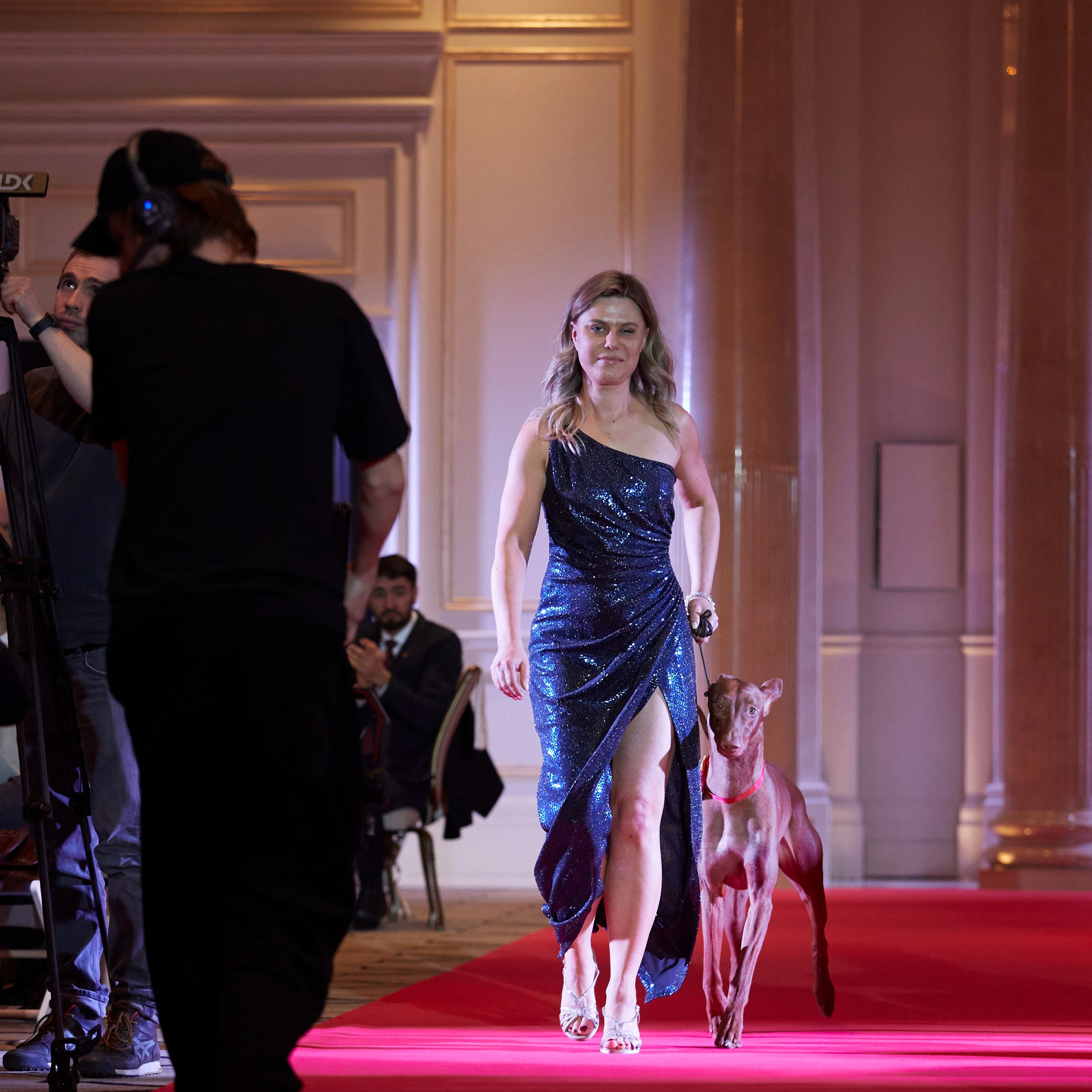 Репортаж с церемонии «BEST RUSSIAN DOG 2024». ФОТОГРАФ-АНИМАЛИСТ l LANA POLYAKOVA