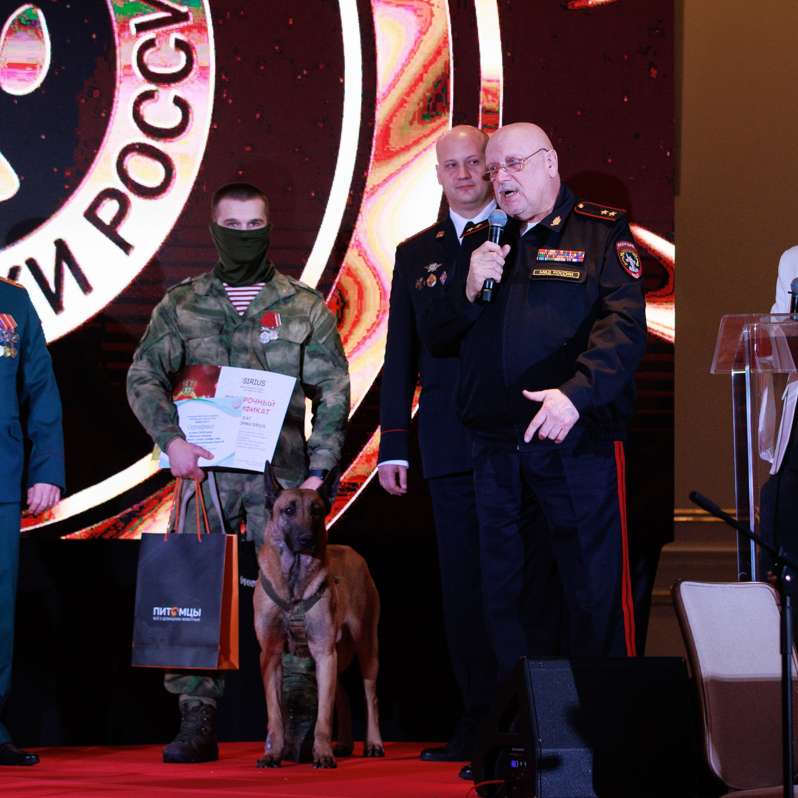 Репортаж с церемонии «BEST RUSSIAN DOG 2024». ФОТОГРАФ-АНИМАЛИСТ l LANA POLYAKOVA