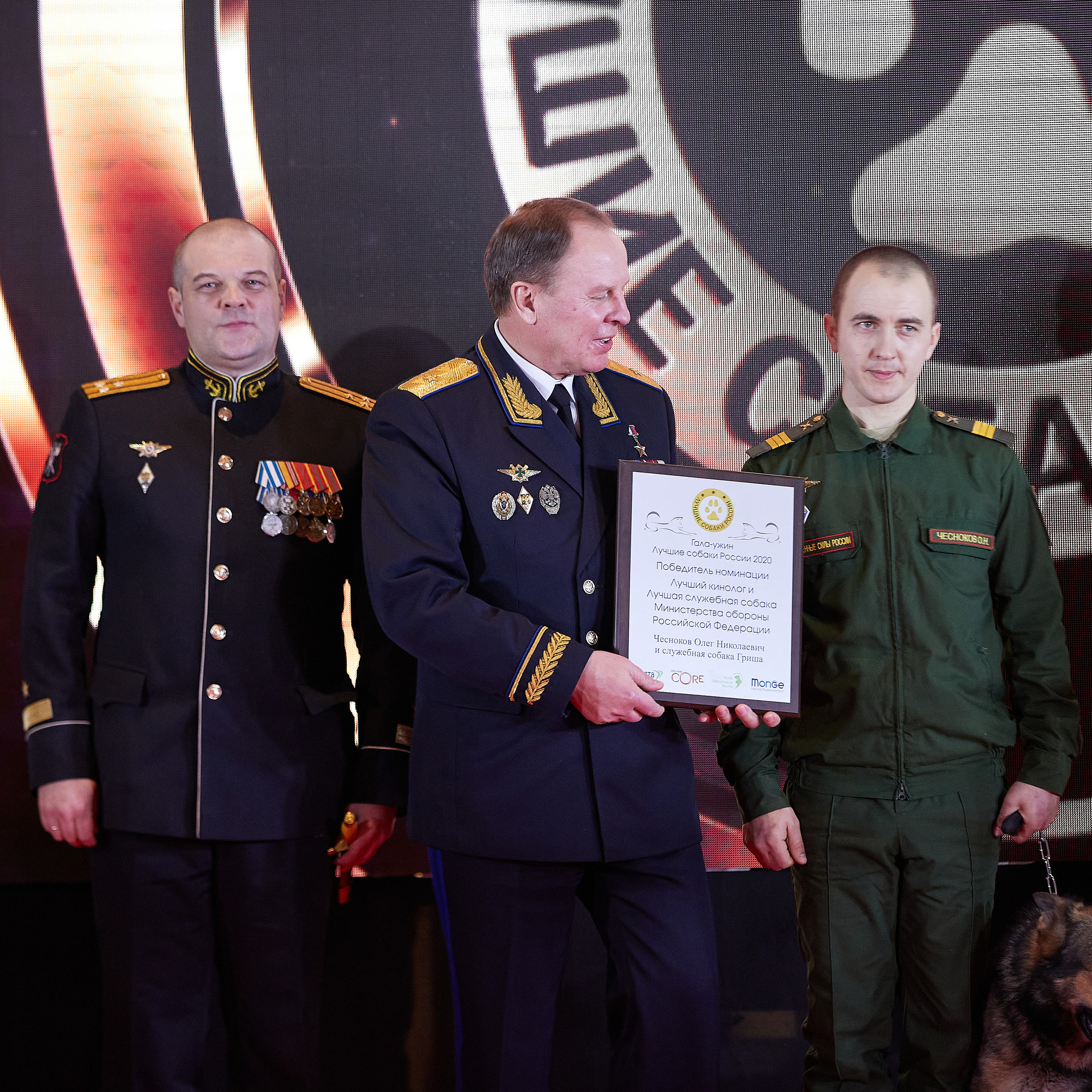 НАГРАЖДЕНИЕ ПОБЕДИТЕЛЕЙ РЕЙТИНГА «BEST RUSSIAN DOG» 2020. ФОТОГРАФ-АНИМАЛИСТ l LANA POLYAKOVA