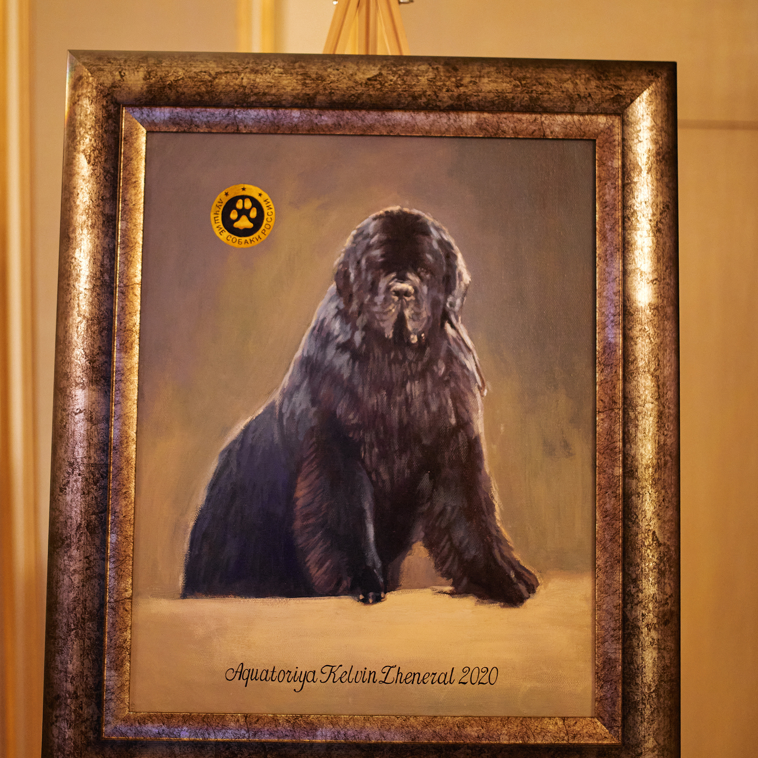 Репортаж с церемонии «BEST RUSSIAN DOG 2021». ФОТОГРАФ-АНИМАЛИСТ l LANA POLYAKOVA