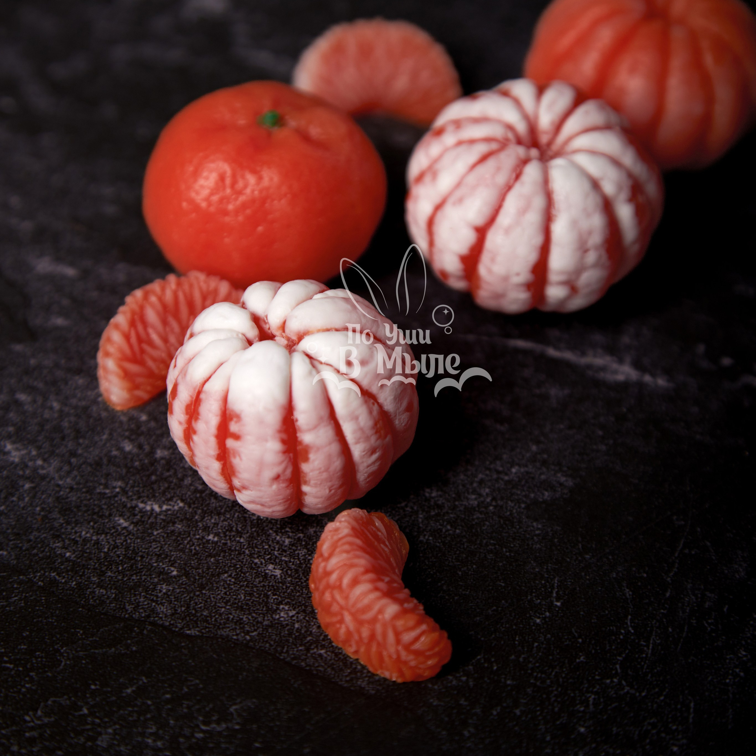 Логотип для мастерской необычного мыла. ФОТОГРАФ-АНИМАЛИСТ l LANA POLYAKOVA