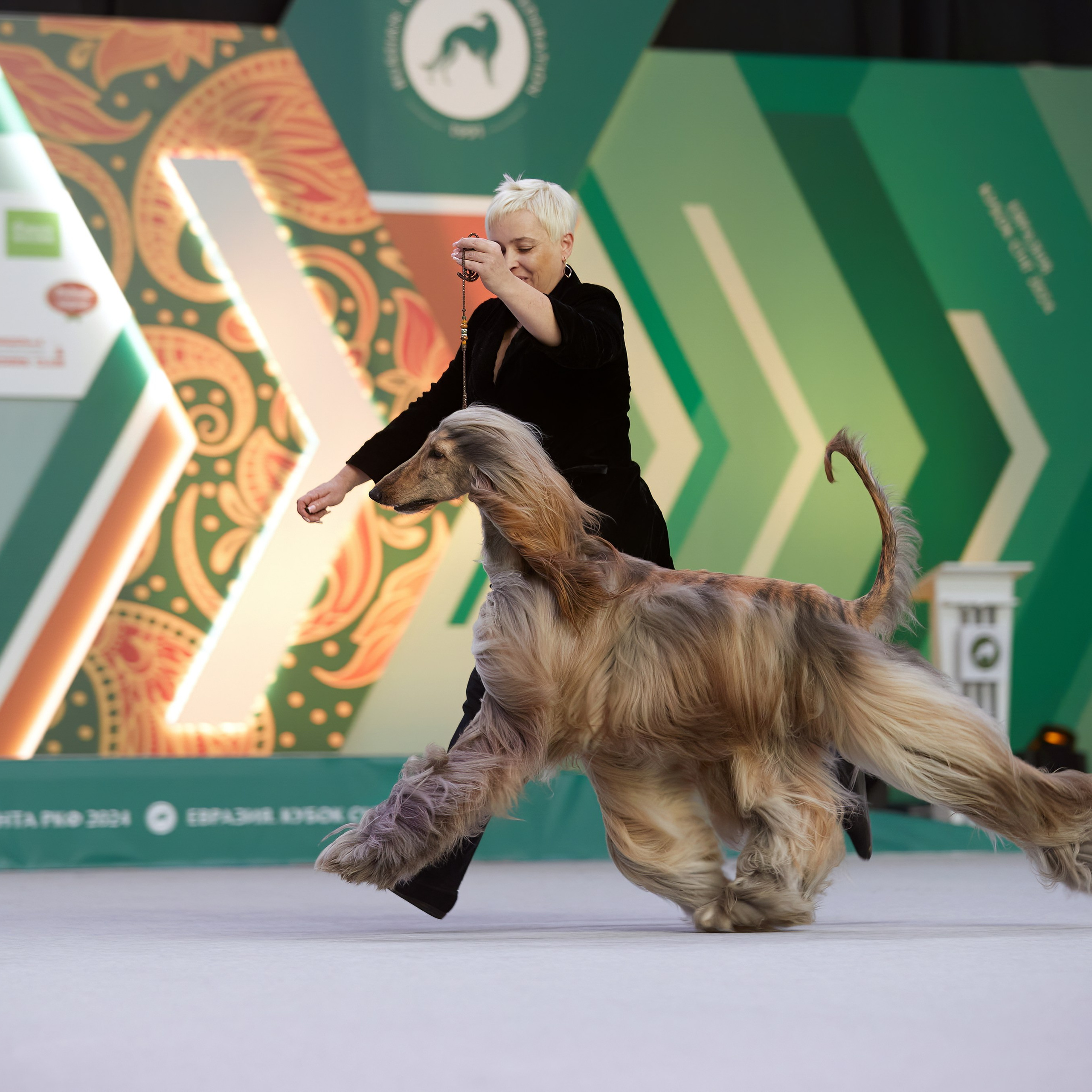 «ЕВРАЗИЯ-2024». ФОТОГРАФ-АНИМАЛИСТ l LANA POLYAKOVA