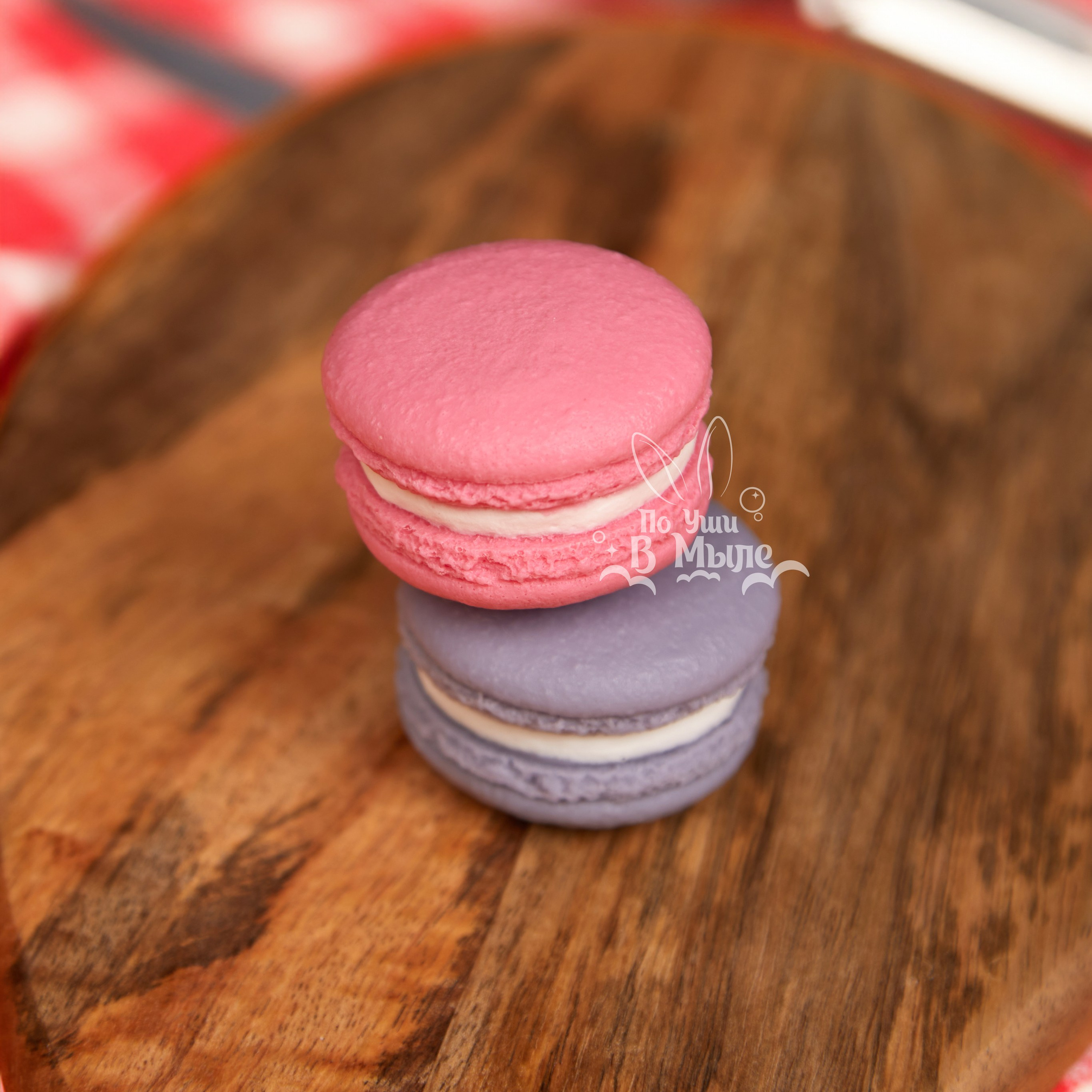 Логотип для мастерской необычного мыла. ФОТОГРАФ-АНИМАЛИСТ l LANA POLYAKOVA