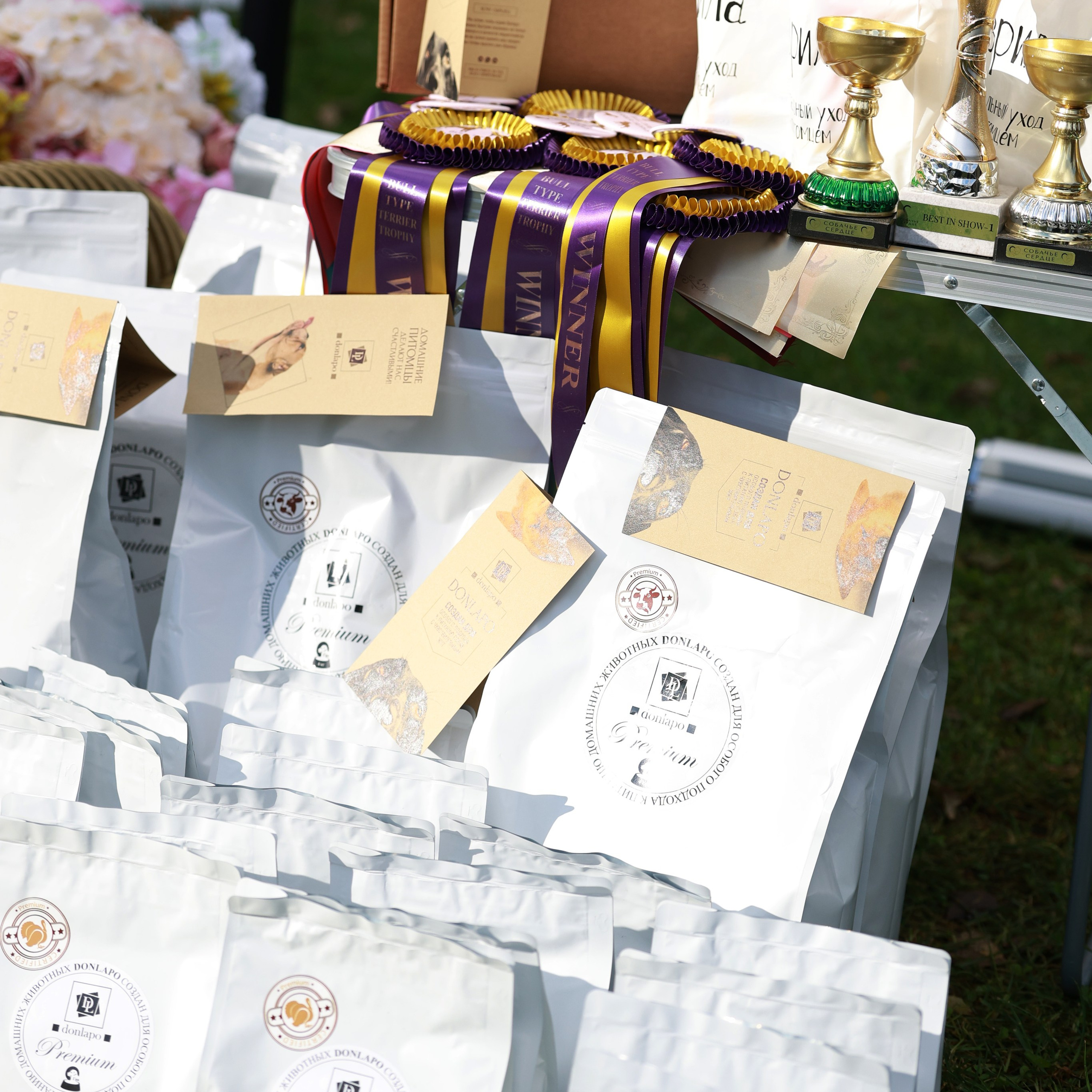 27-28.09.2025 ВЫСТАВКИ СОБАК ВСЕХ ПОРОД (САС, ЧРКФ, ЧФ). ФОТОГРАФ-АНИМАЛИСТ l LANA POLYAKOVA