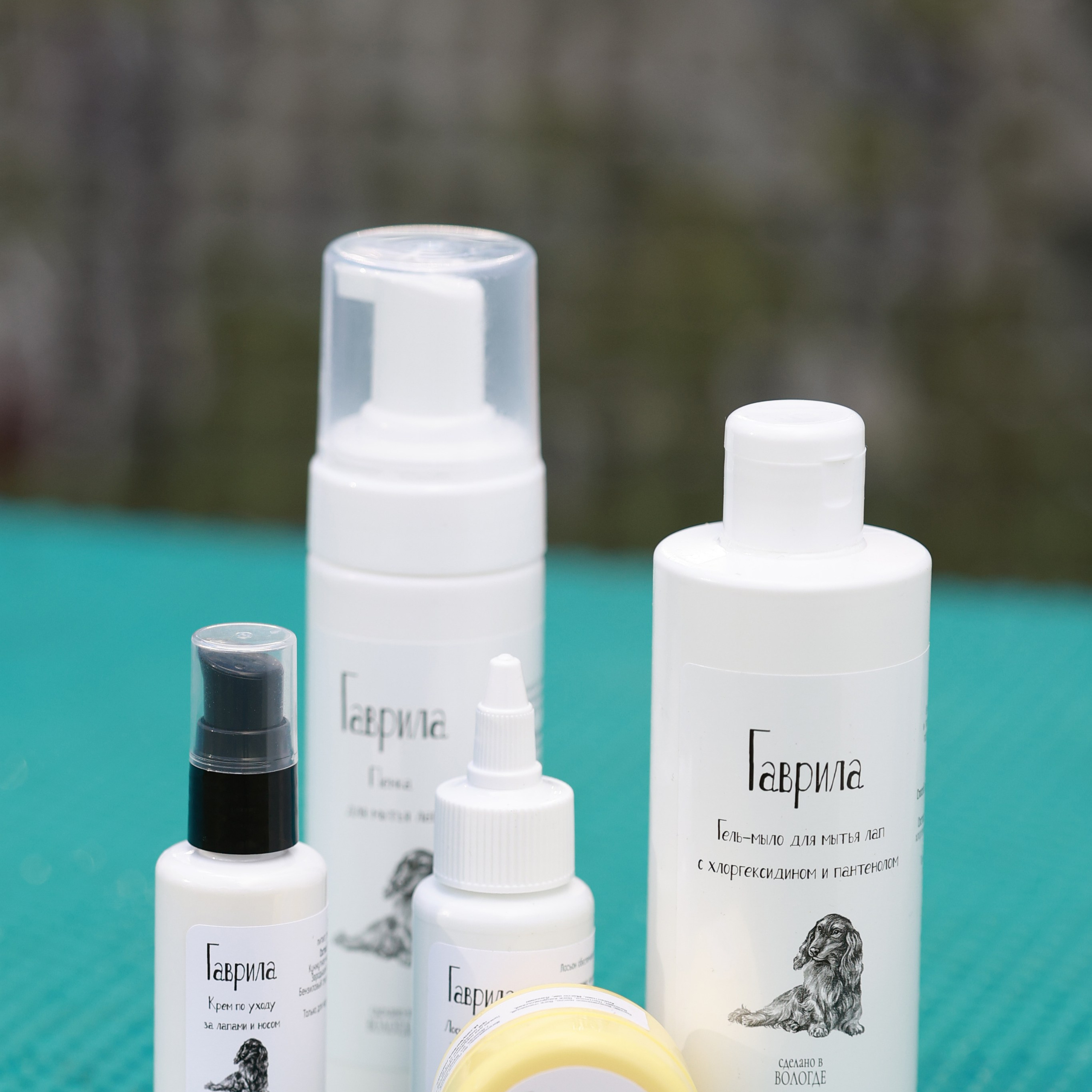 27-28.09.2025 ВЫСТАВКИ СОБАК ВСЕХ ПОРОД (САС, ЧРКФ, ЧФ). ФОТОГРАФ-АНИМАЛИСТ l LANA POLYAKOVA