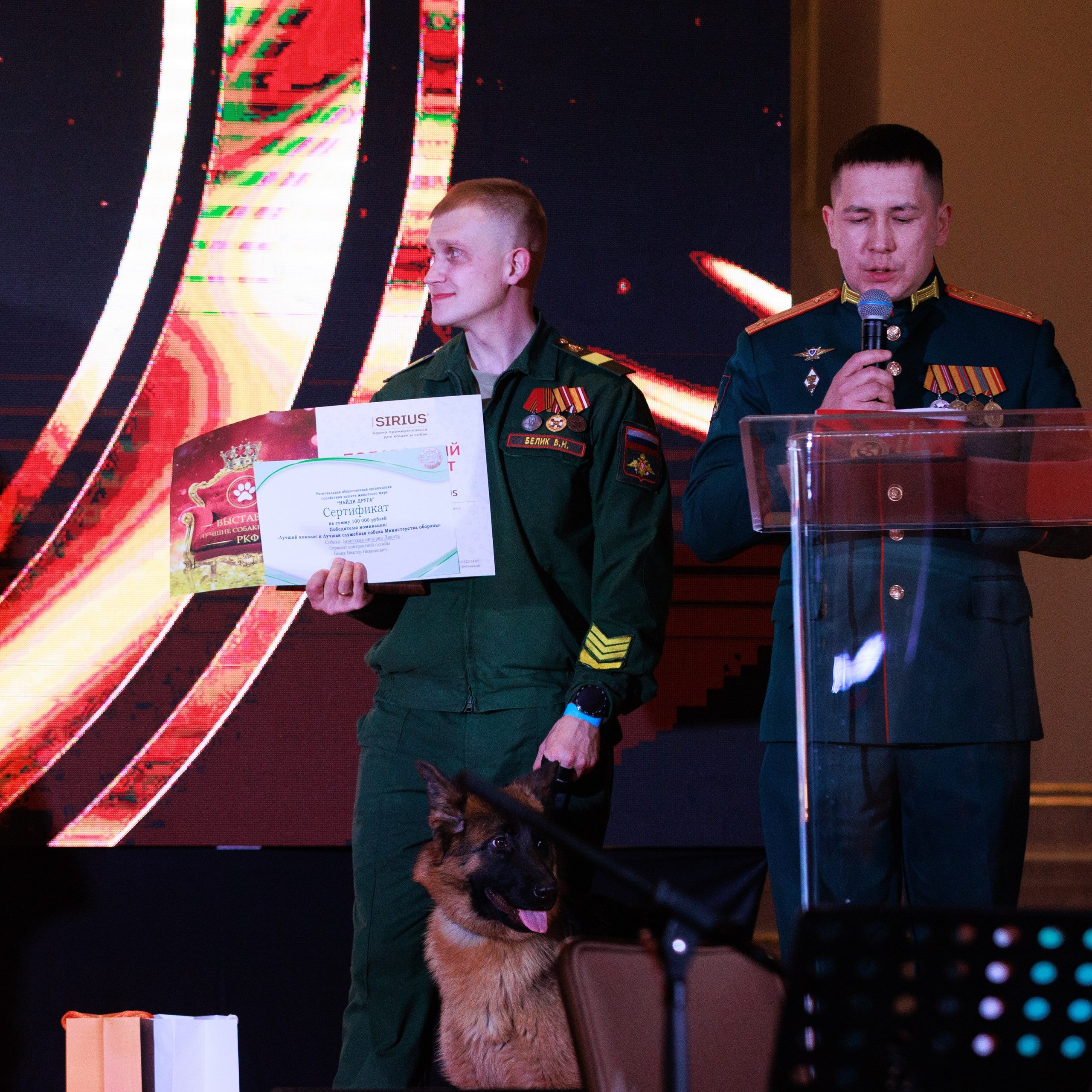 Репортаж с церемонии «BEST RUSSIAN DOG 2024». ФОТОГРАФ-АНИМАЛИСТ l LANA POLYAKOVA