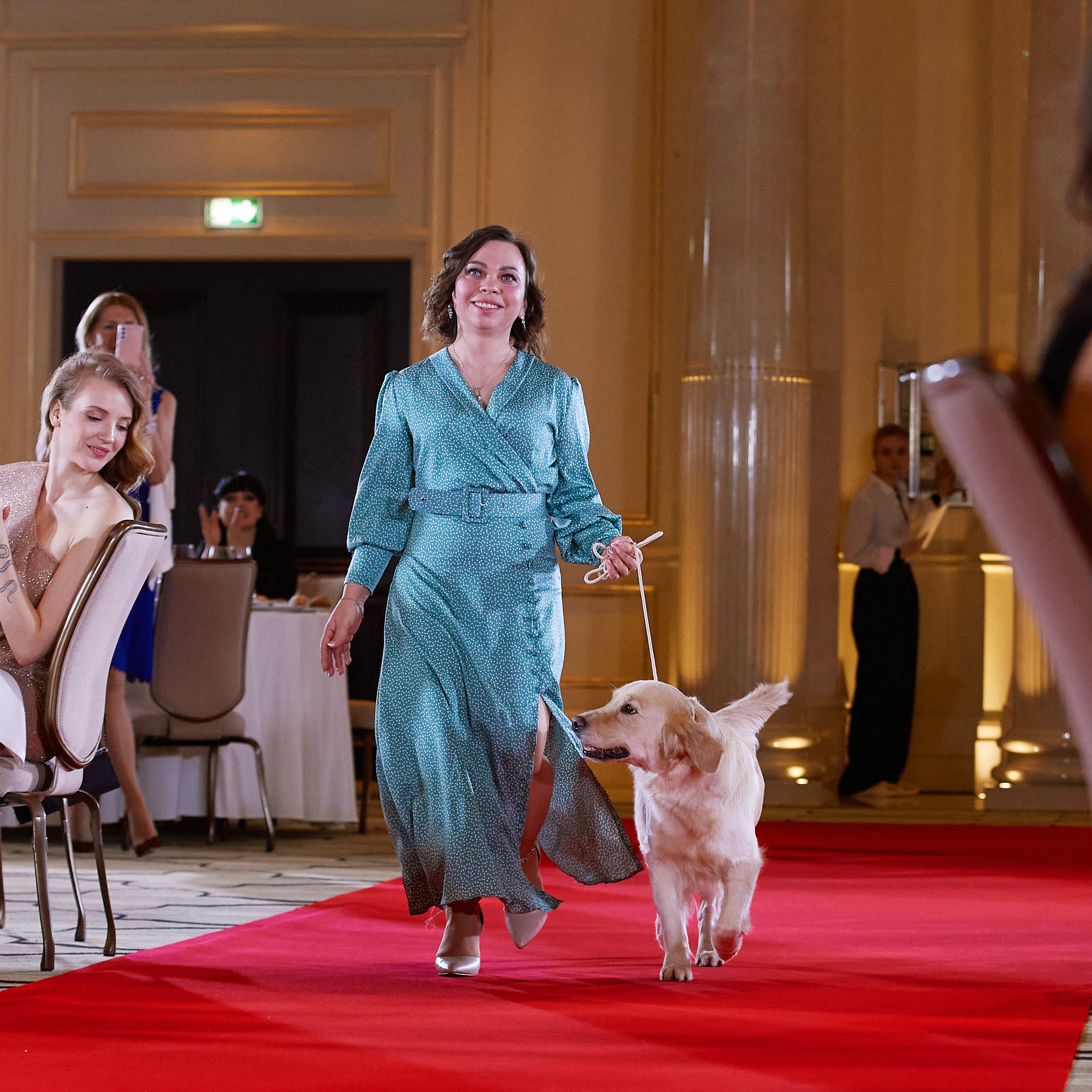 Репортаж с церемонии «BEST RUSSIAN DOG 2021». ФОТОГРАФ-АНИМАЛИСТ l LANA POLYAKOVA