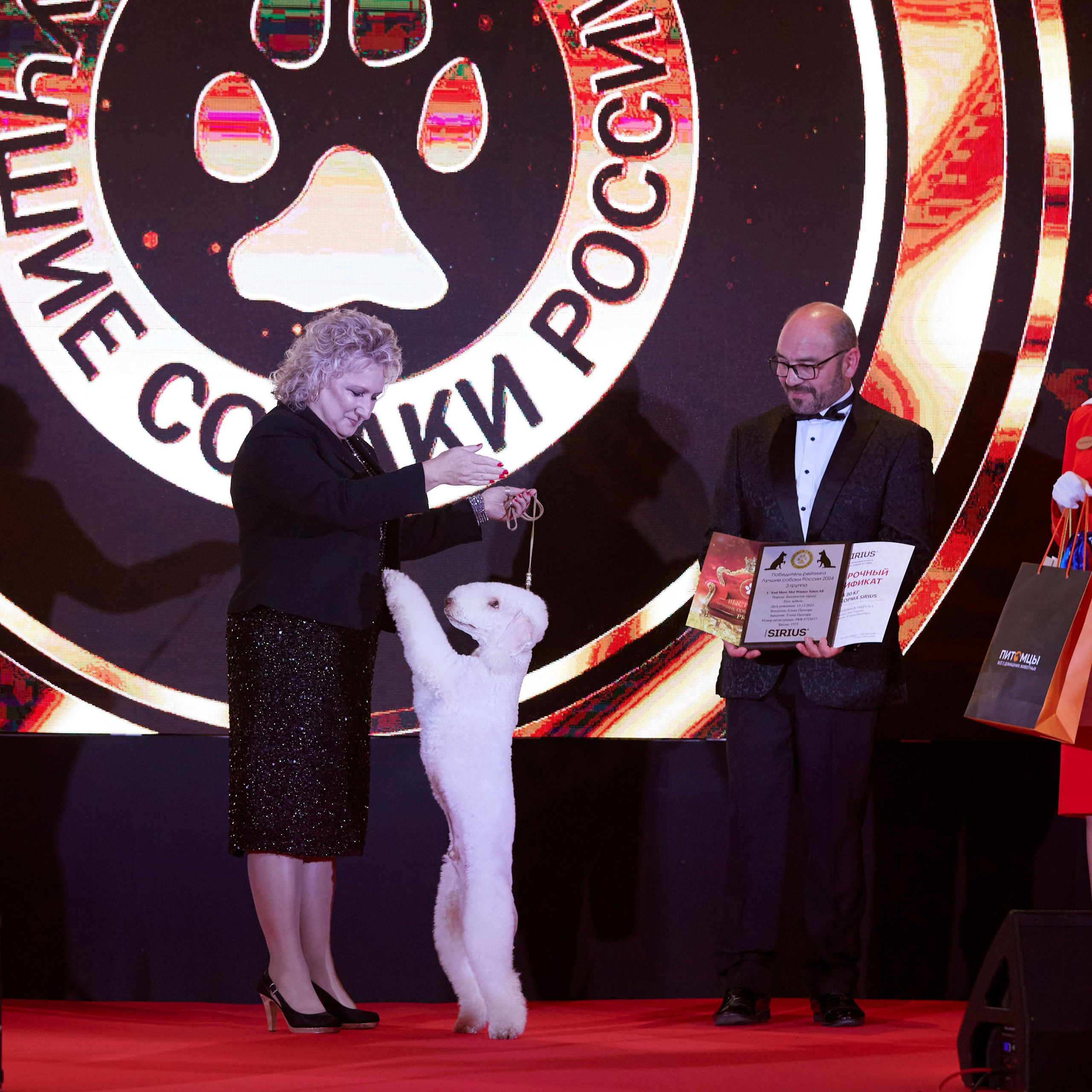 Репортаж с церемонии «BEST RUSSIAN DOG 2024». ФОТОГРАФ-АНИМАЛИСТ l LANA POLYAKOVA