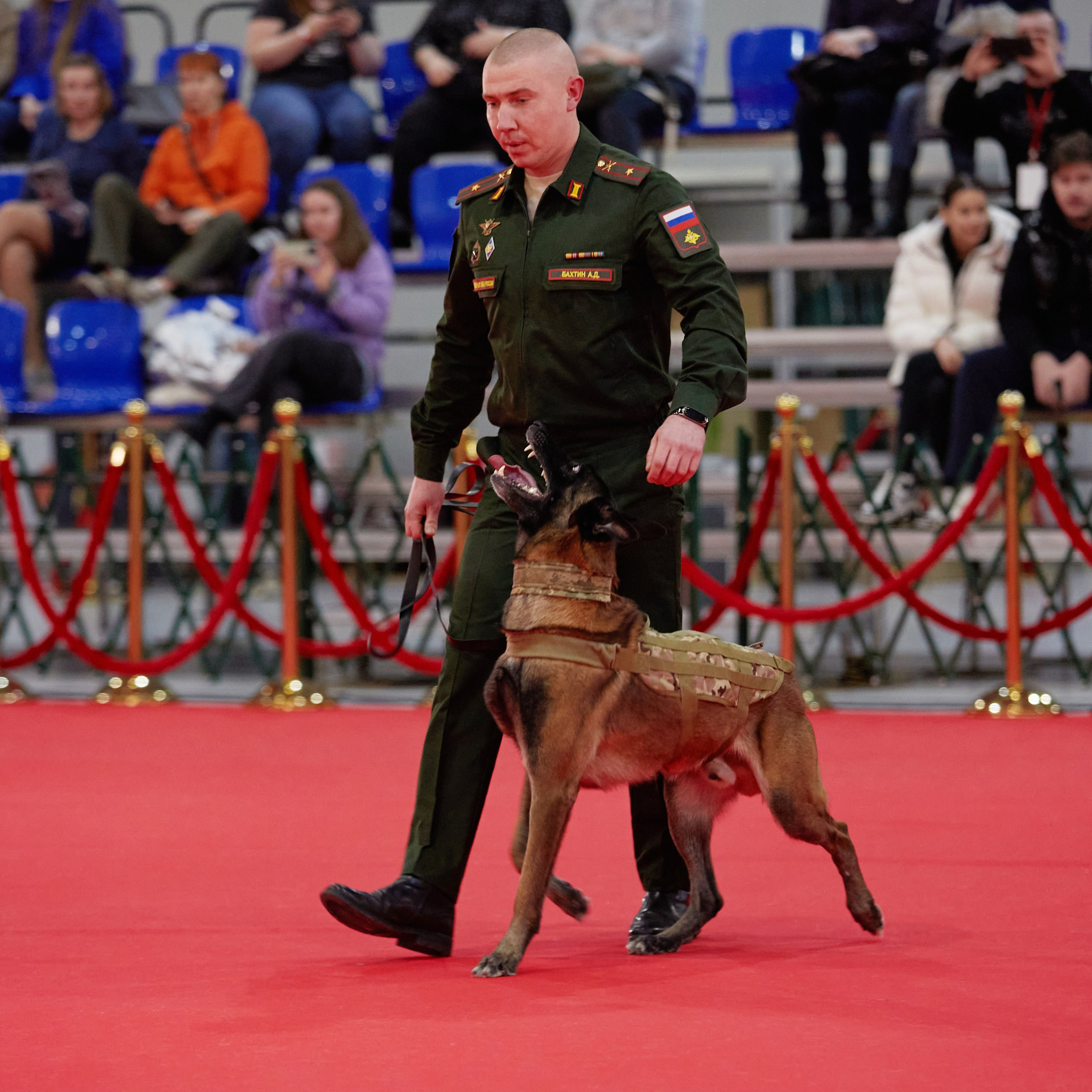 Новое шоу чемпионов «ЛУЧШИЕ СОБАКИ РОССИИ». ФОТОГРАФ-АНИМАЛИСТ l LANA POLYAKOVA