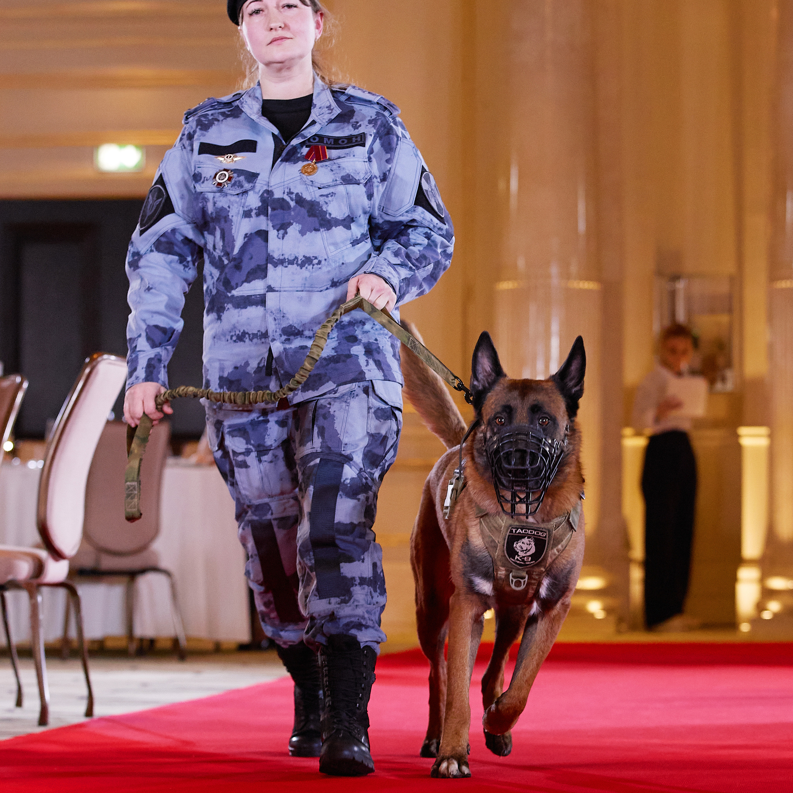 Репортаж с церемонии «BEST RUSSIAN DOG 2021». ФОТОГРАФ-АНИМАЛИСТ l LANA POLYAKOVA