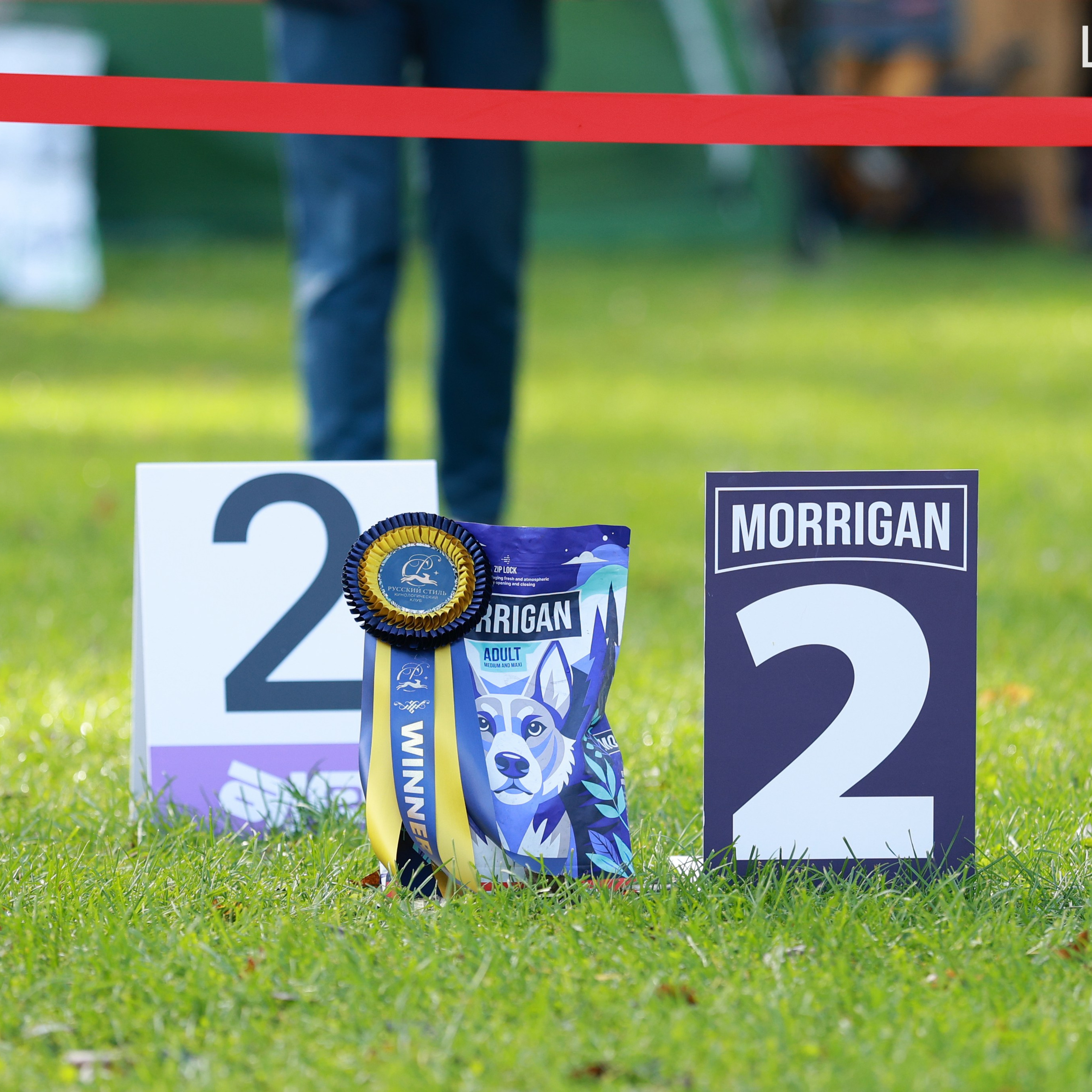 27-28.09.2025 ВЫСТАВКИ СОБАК ВСЕХ ПОРОД (САС, ЧРКФ, ЧФ). ФОТОГРАФ-АНИМАЛИСТ l LANA POLYAKOVA