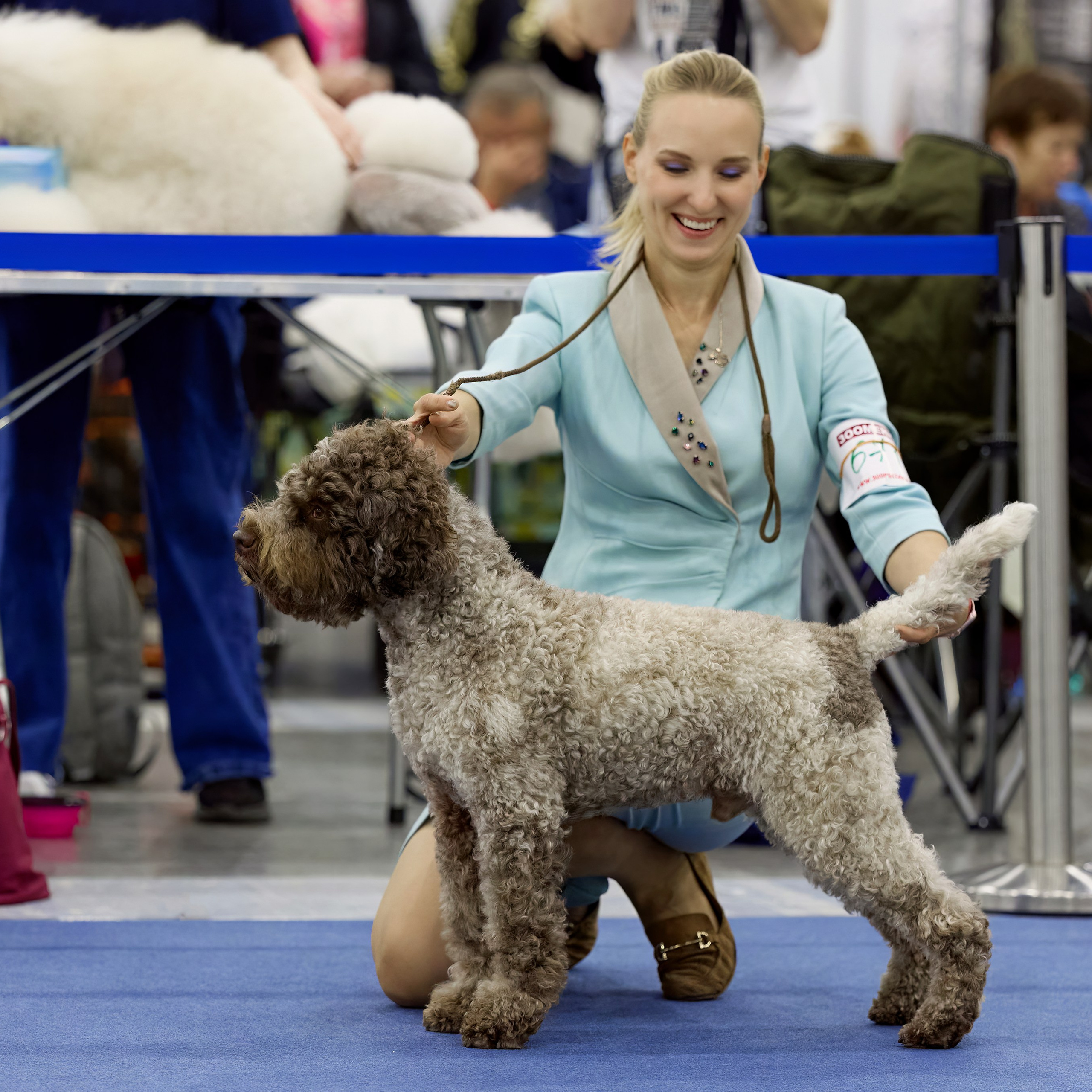 ВЫСТАВКА СОБАК ВСЕХ ПОРОД С ОСОБЫМ СТАТУСОМ «БЕЛЫЕ НОЧИ-2025». ФОТОГРАФ-АНИМАЛИСТ l LANA POLYAKOVA