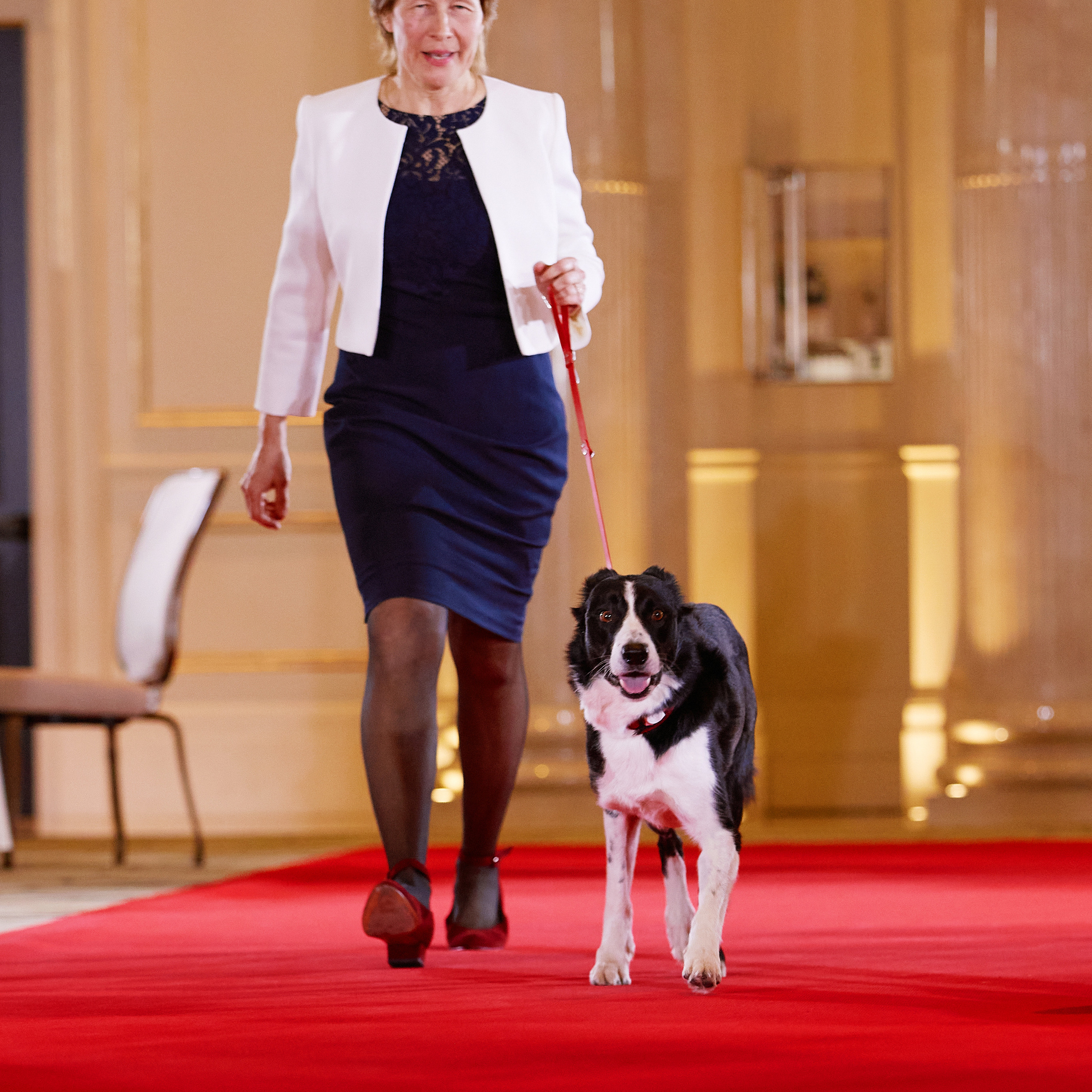 Репортаж с церемонии «BEST RUSSIAN DOG 2021». ФОТОГРАФ-АНИМАЛИСТ l LANA POLYAKOVA