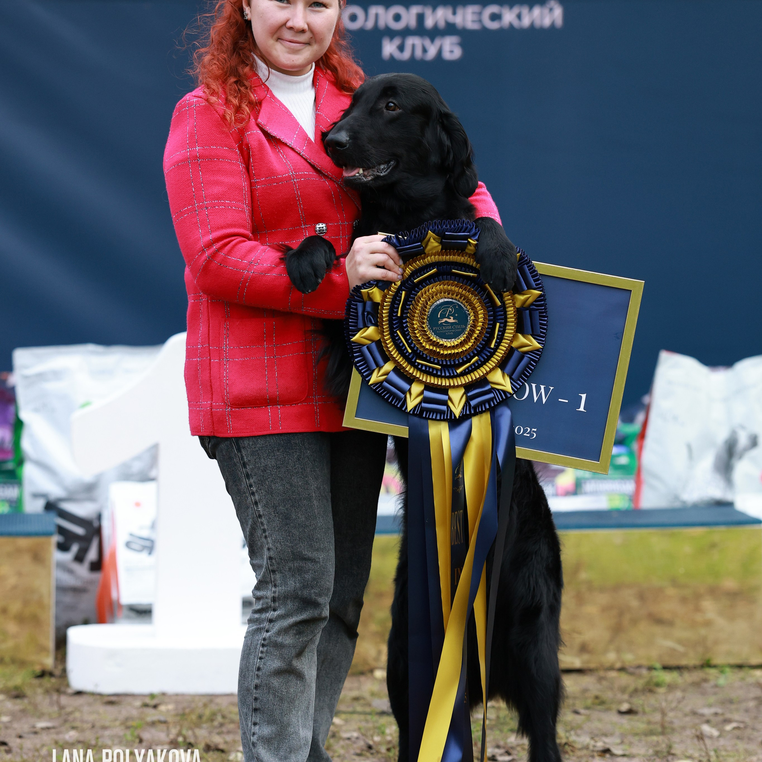 27-28.09.2025 ВЫСТАВКИ СОБАК ВСЕХ ПОРОД (САС, ЧРКФ, ЧФ). ФОТОГРАФ-АНИМАЛИСТ l LANA POLYAKOVA