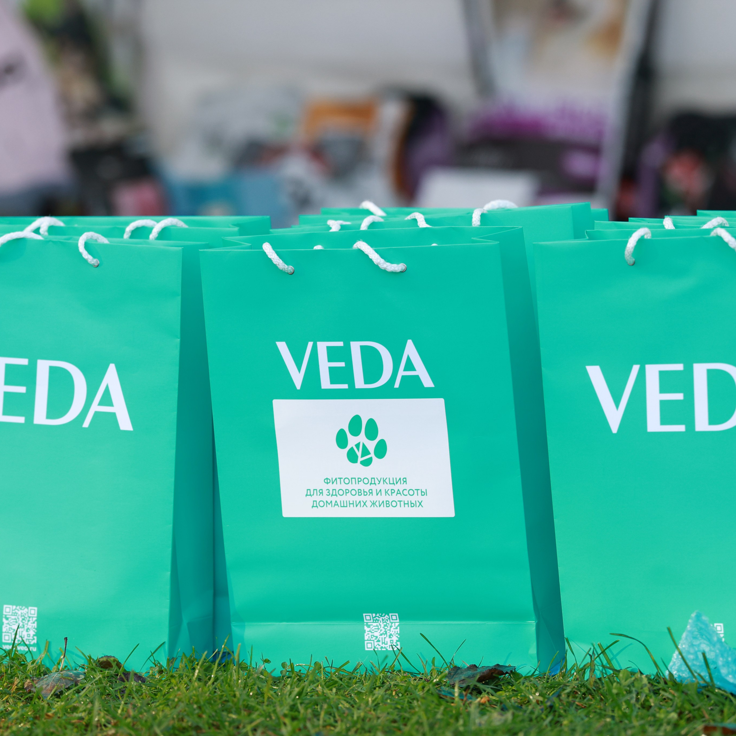 27-28.09.2025 ВЫСТАВКИ СОБАК ВСЕХ ПОРОД (САС, ЧРКФ, ЧФ). ФОТОГРАФ-АНИМАЛИСТ l LANA POLYAKOVA