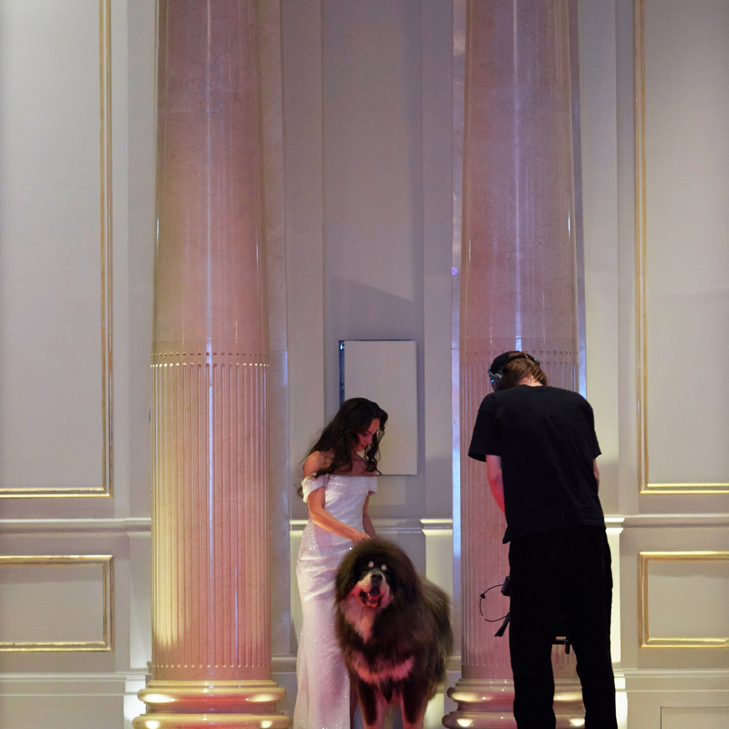 Репортаж с церемонии «BEST RUSSIAN DOG 2024». ФОТОГРАФ-АНИМАЛИСТ l LANA POLYAKOVA