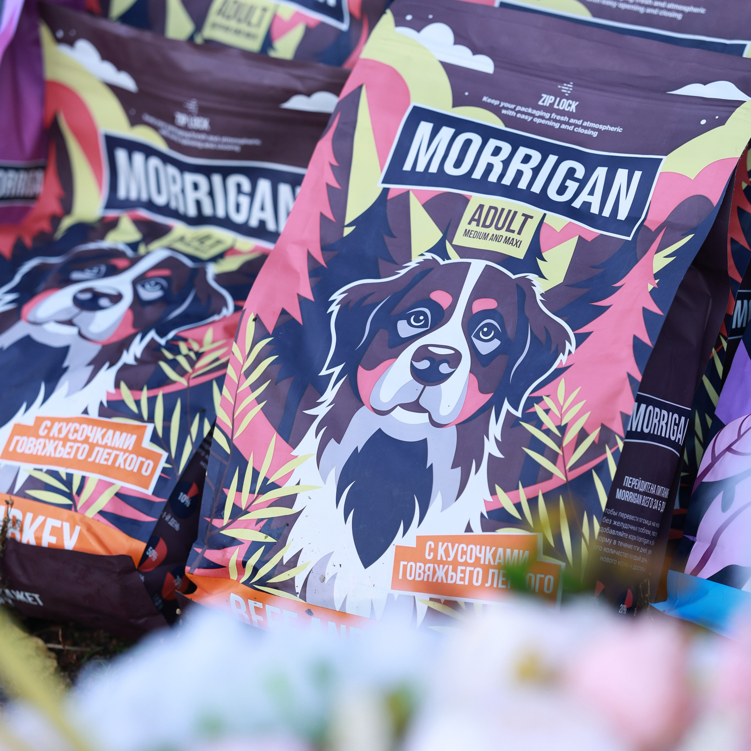 27-28.09.2025 ВЫСТАВКИ СОБАК ВСЕХ ПОРОД (САС, ЧРКФ, ЧФ). ФОТОГРАФ-АНИМАЛИСТ l LANA POLYAKOVA