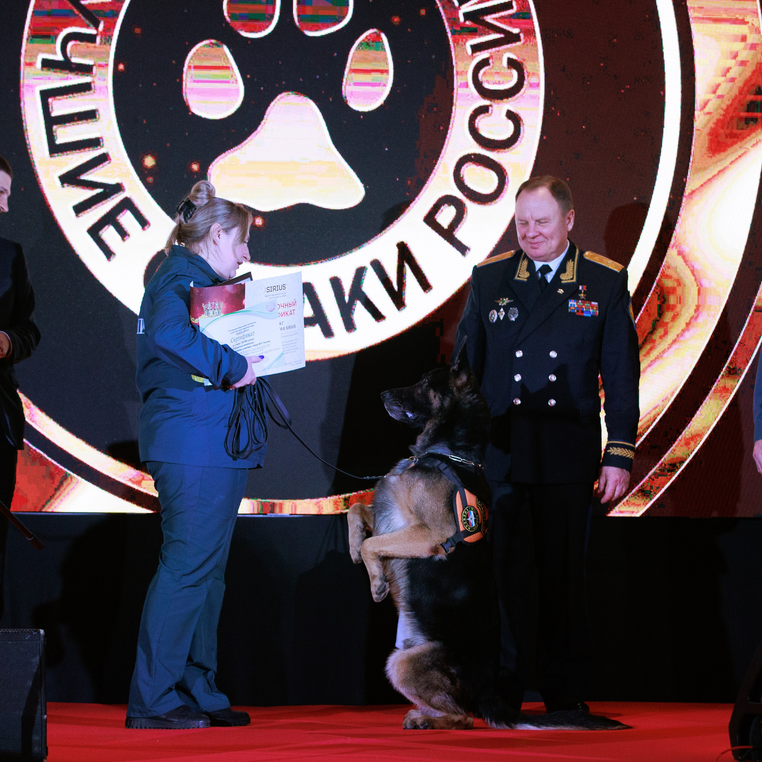 Репортаж с церемонии «BEST RUSSIAN DOG 2024». ФОТОГРАФ-АНИМАЛИСТ l LANA POLYAKOVA